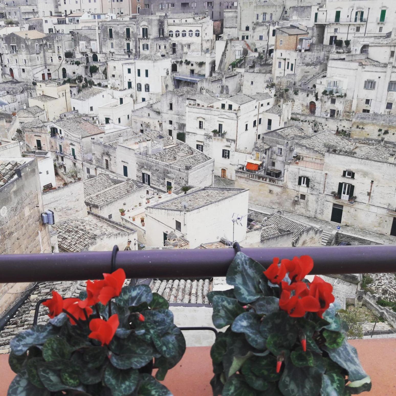 Sole di Paglia view 5