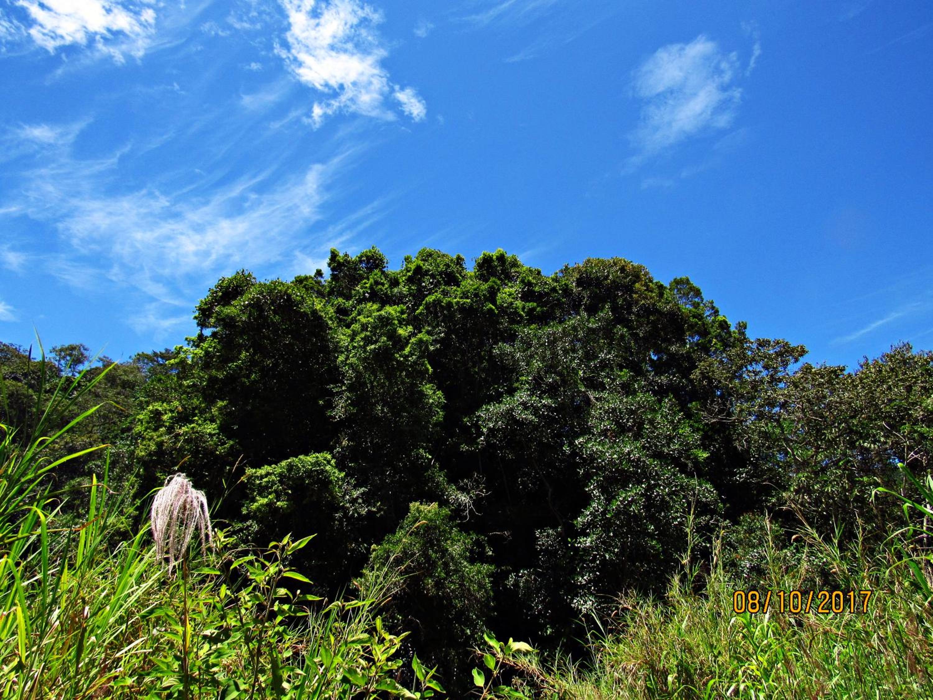 El Encanto Nature Reserve