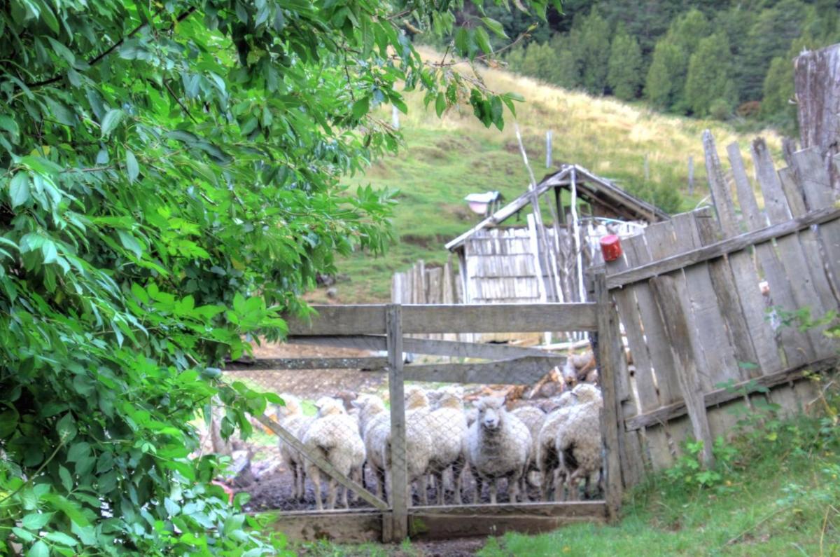 Turismo Rural Los Alpes