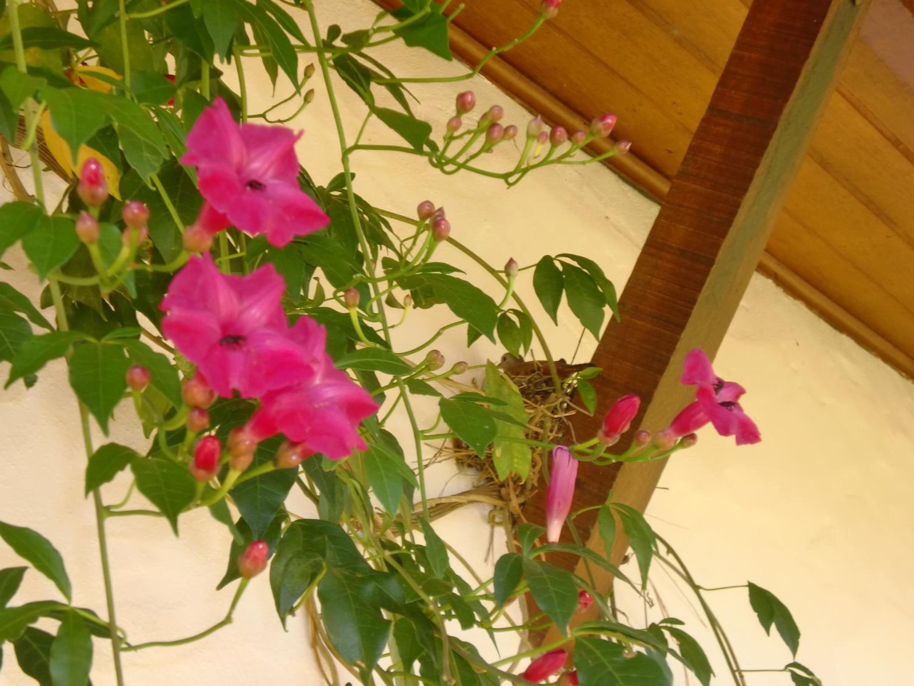 Photo 49
