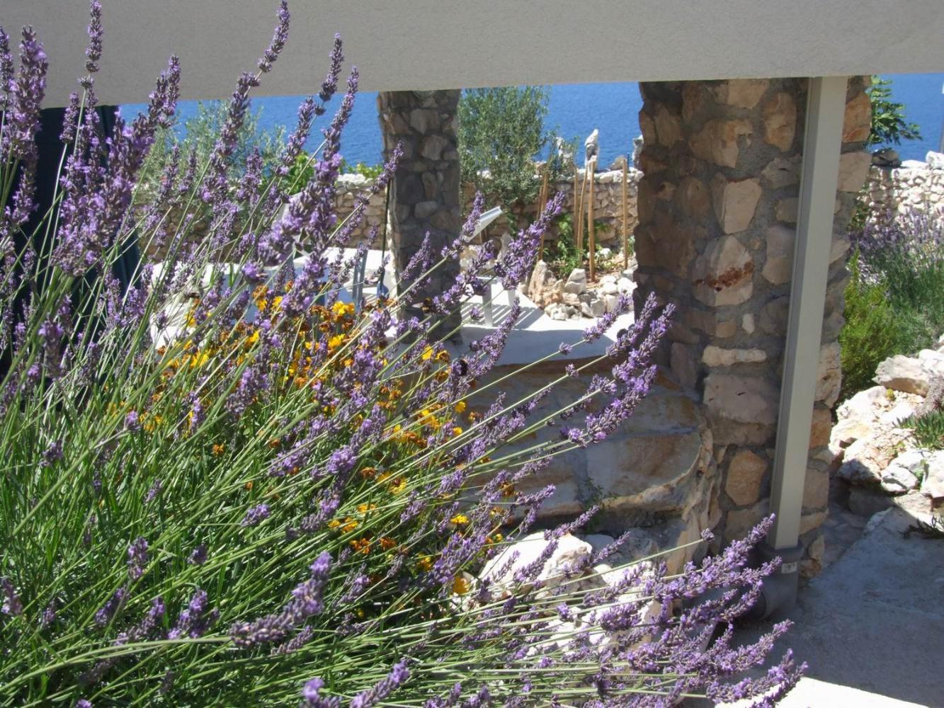 Stone house Marina-SEVID, 1 house-1 apartment view 2