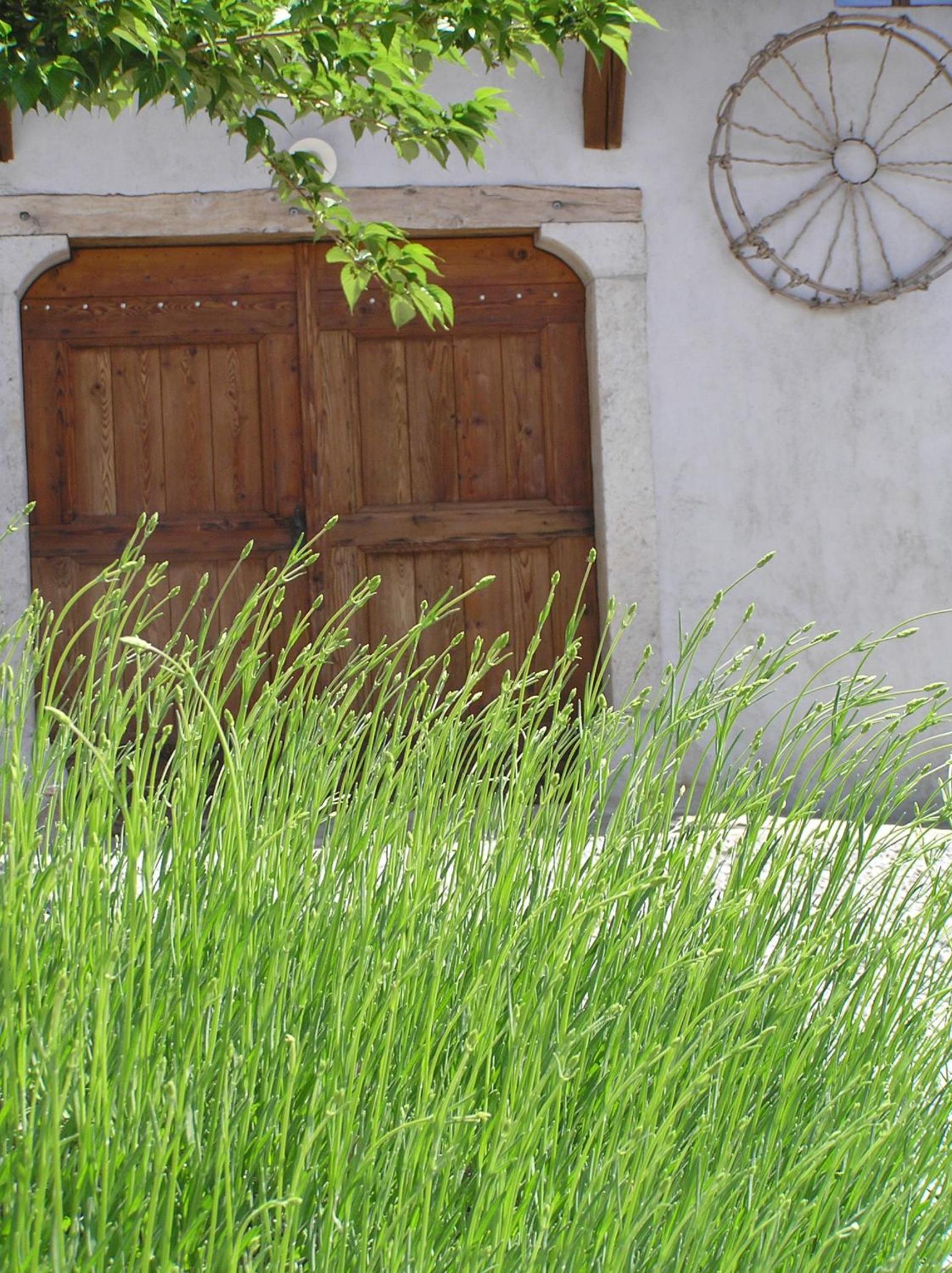 Pliskovica Youth Hostel view 3