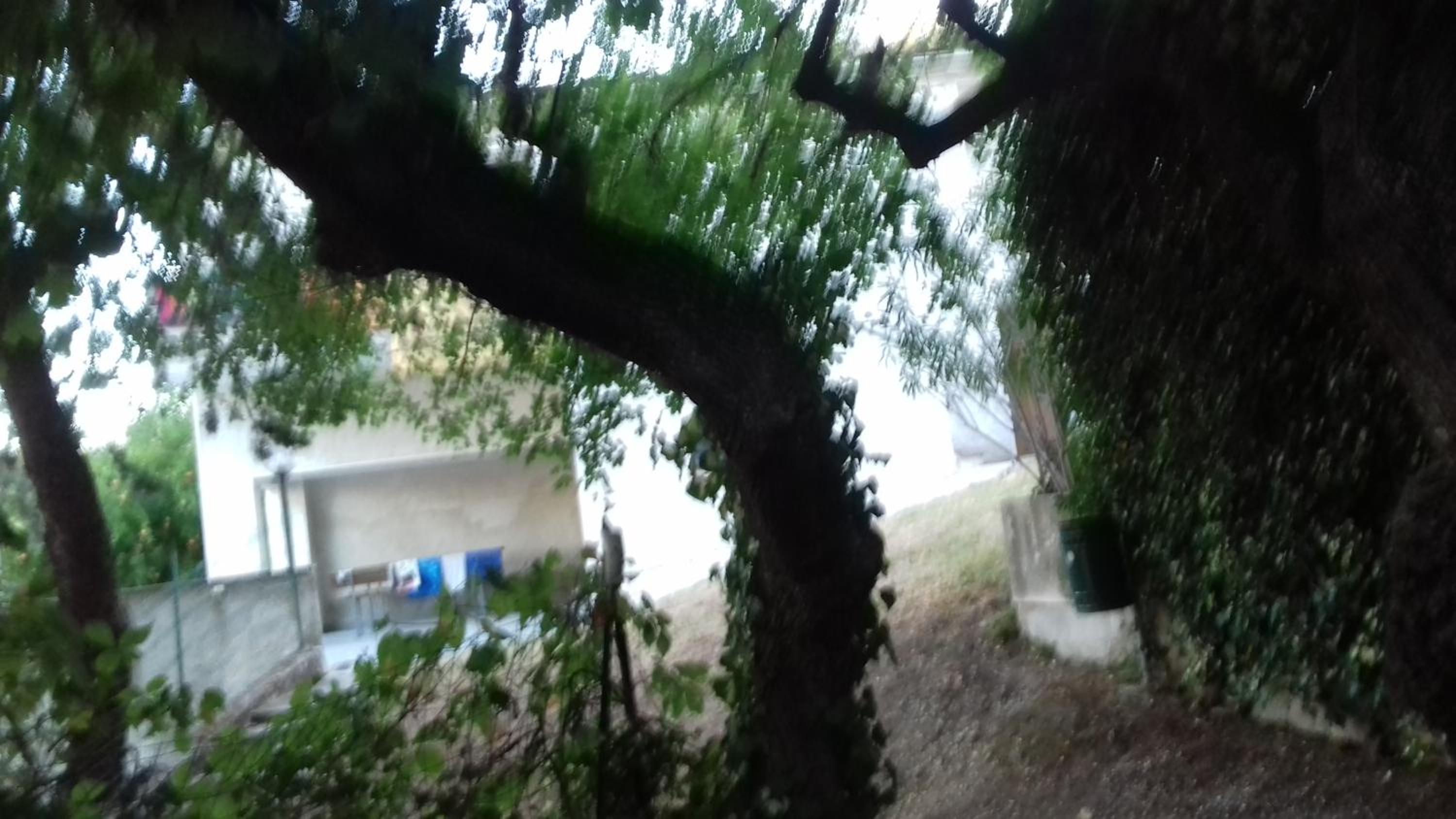 Photo 37