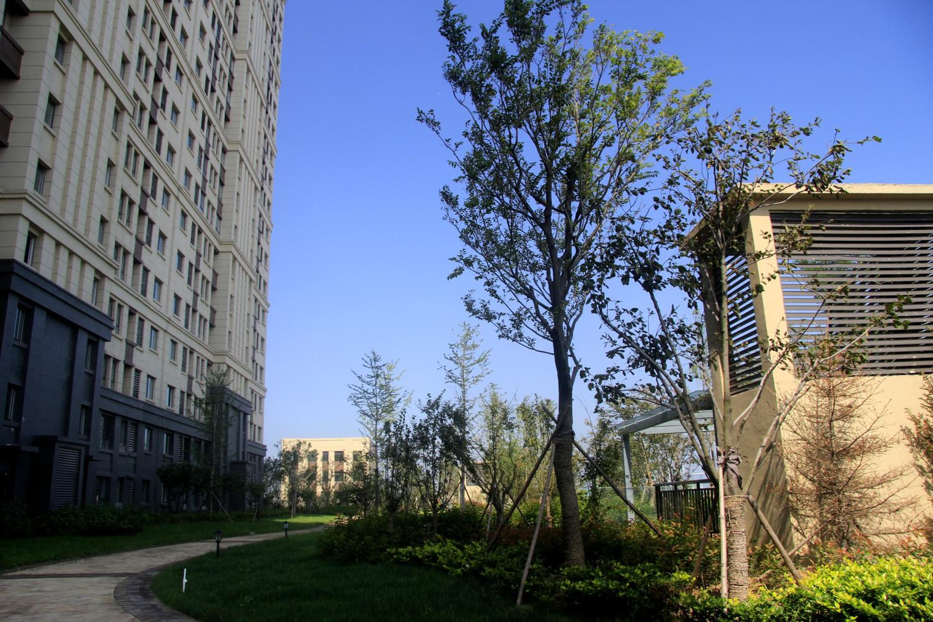 building