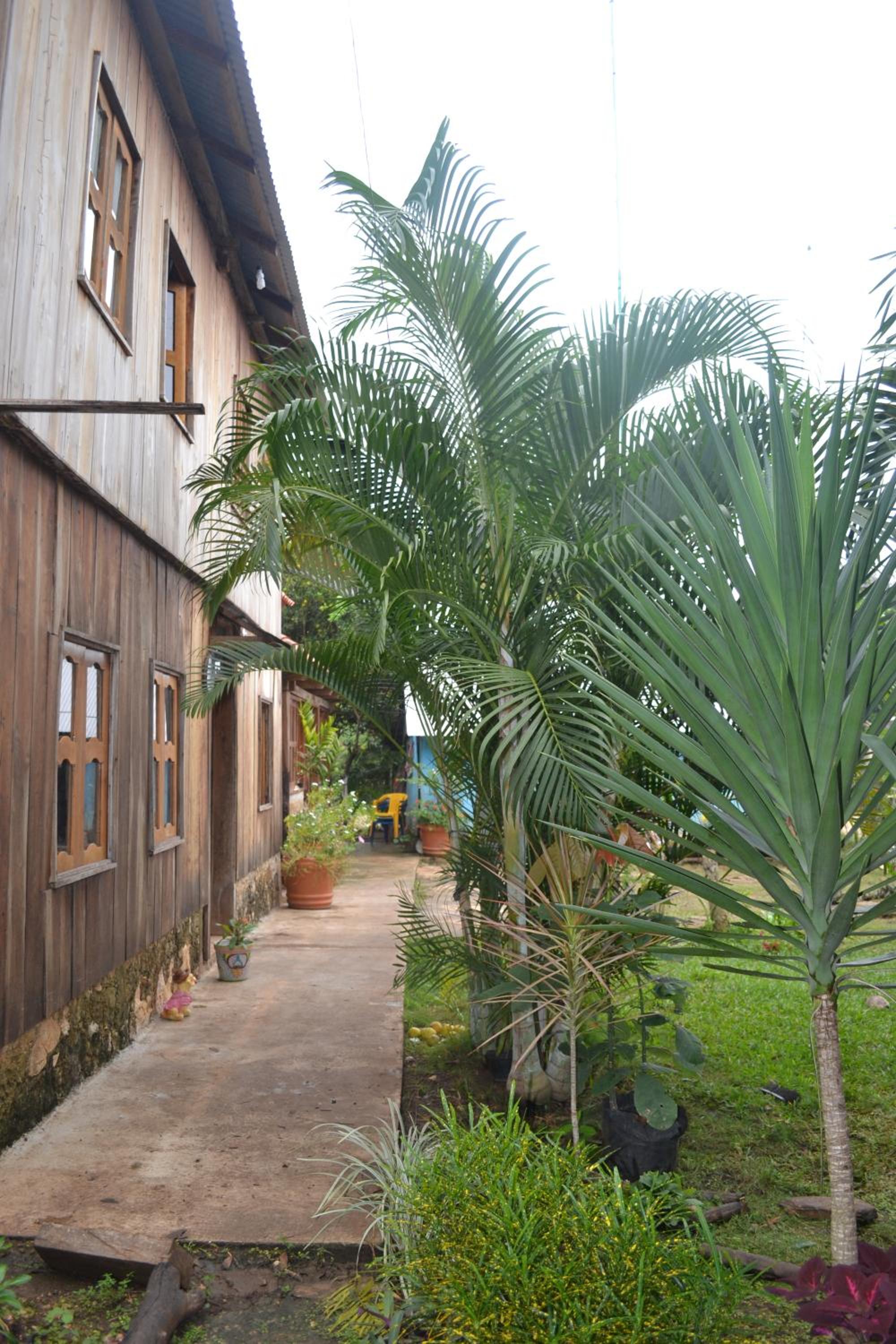 Photo 21