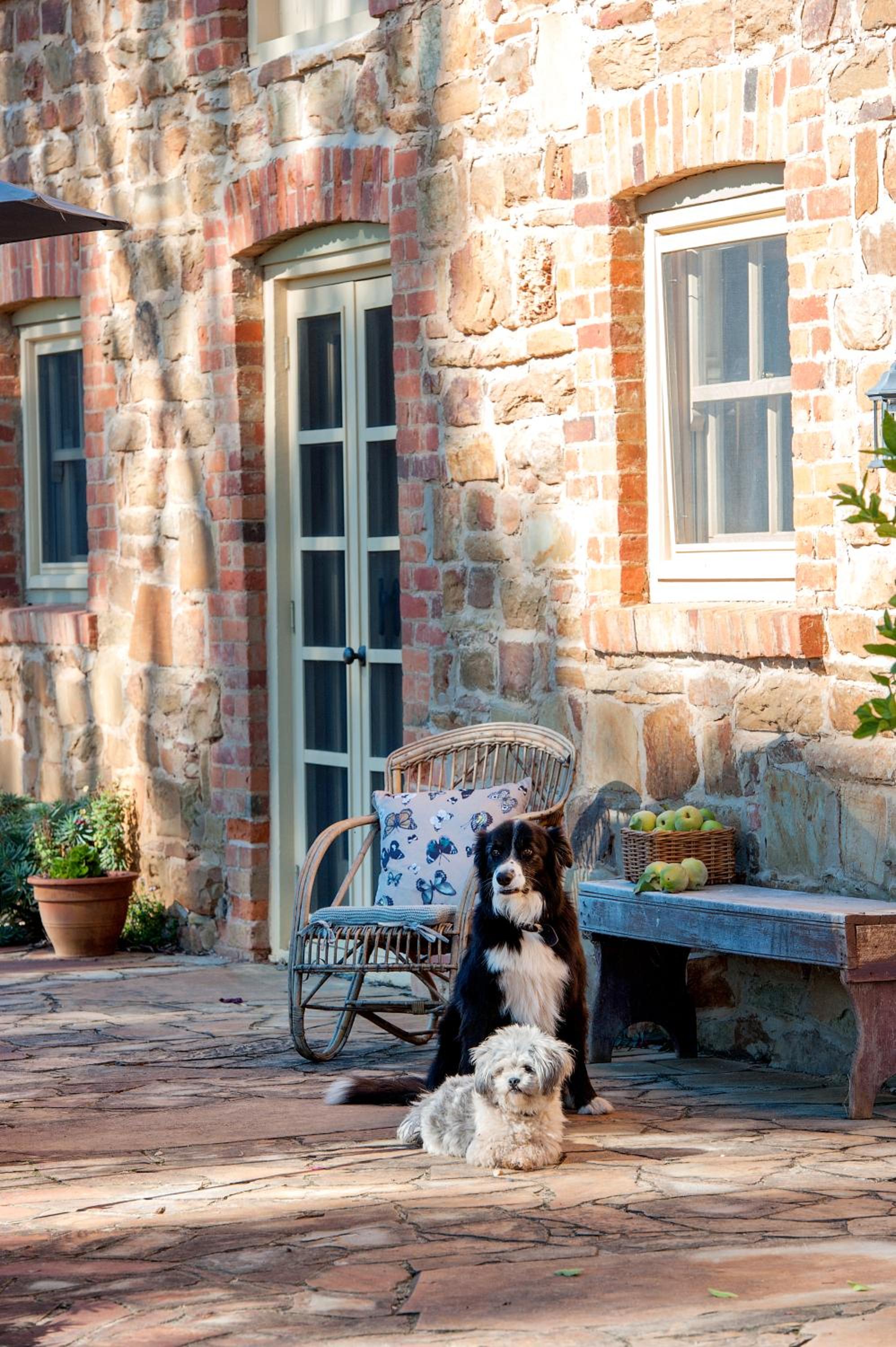 Byronsvale Vineyard and Accommodation