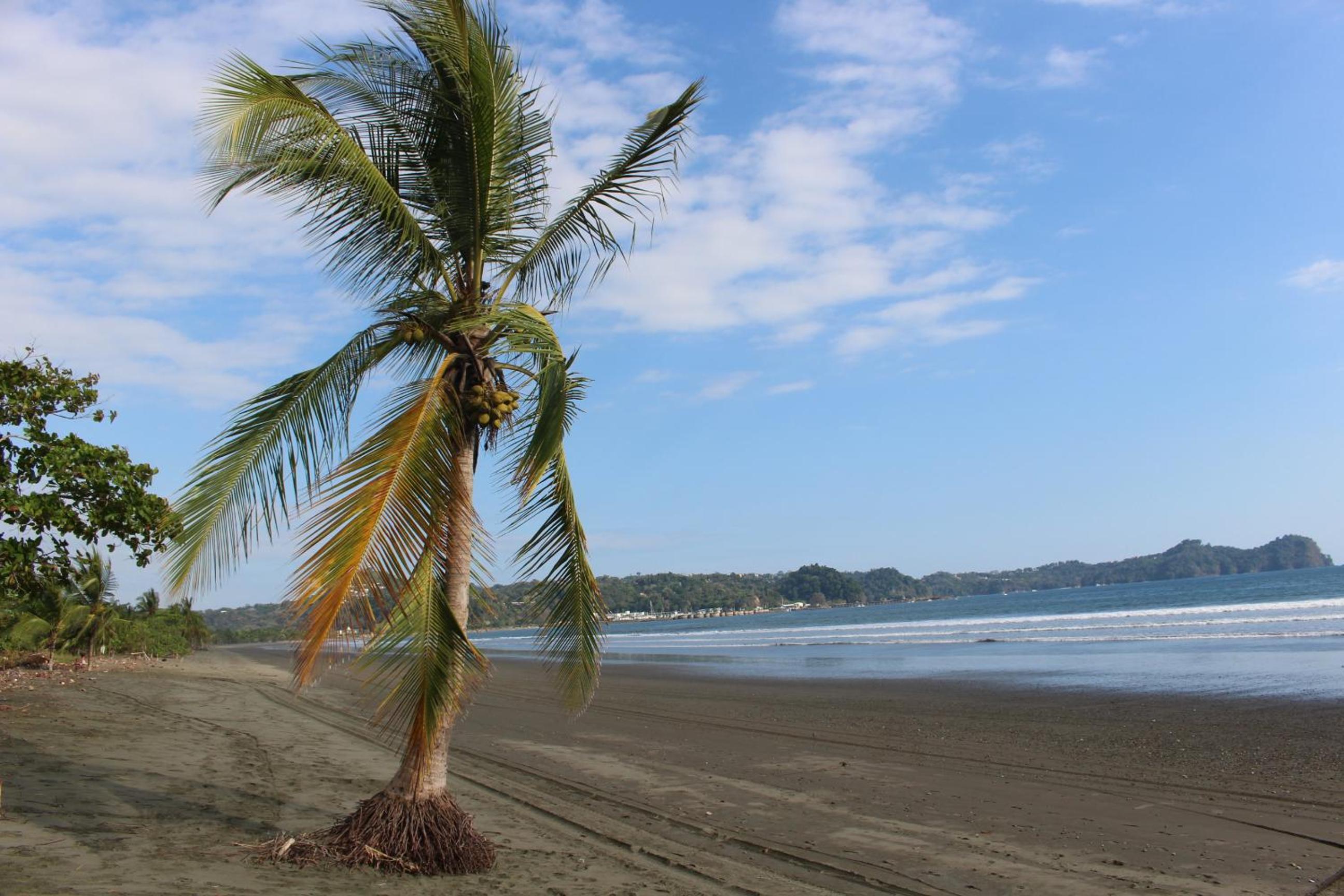 Miguel Surf Camp