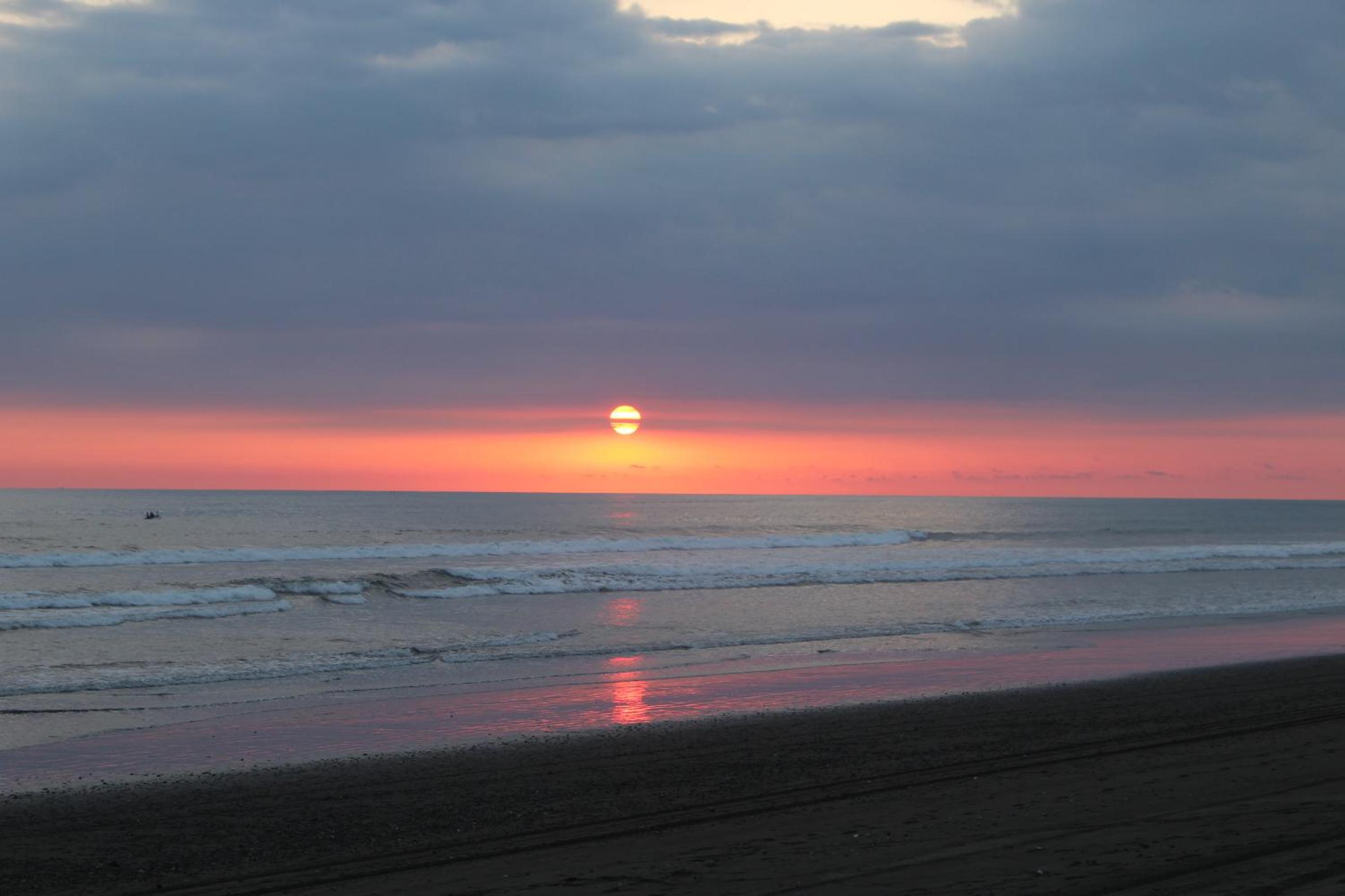Miguel Surf Camp