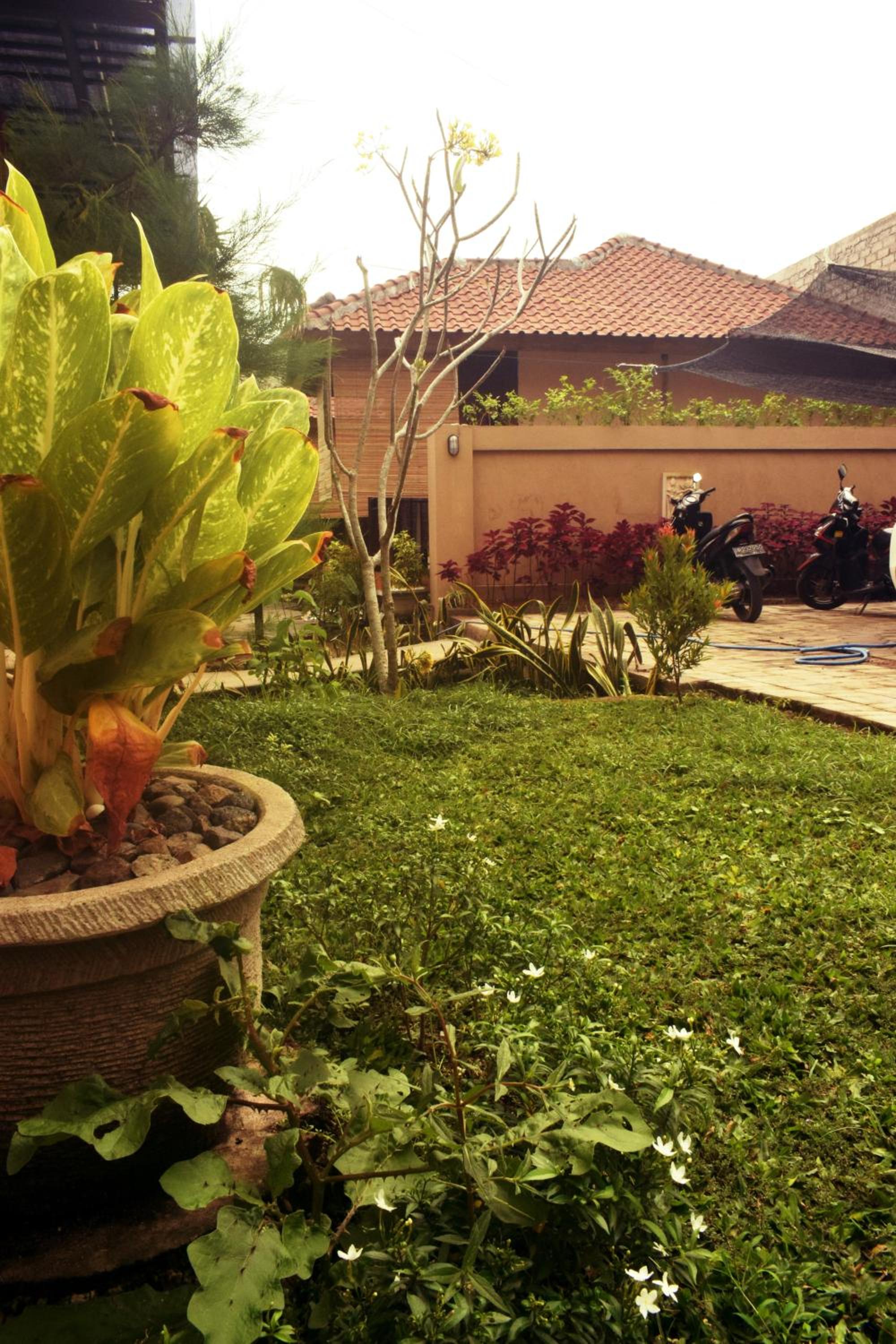 ZiFa Mandalika