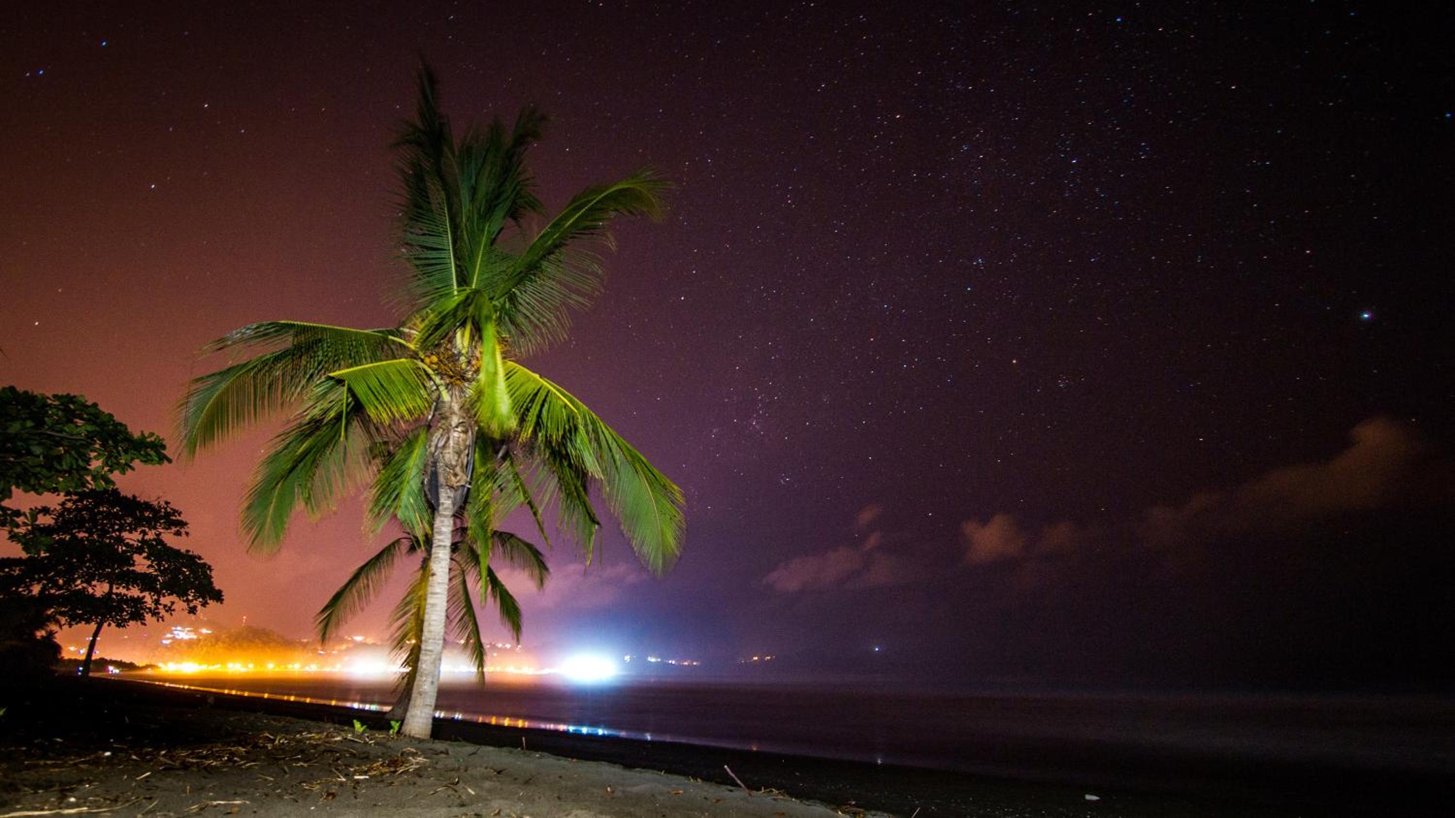 Miguel Surf Camp