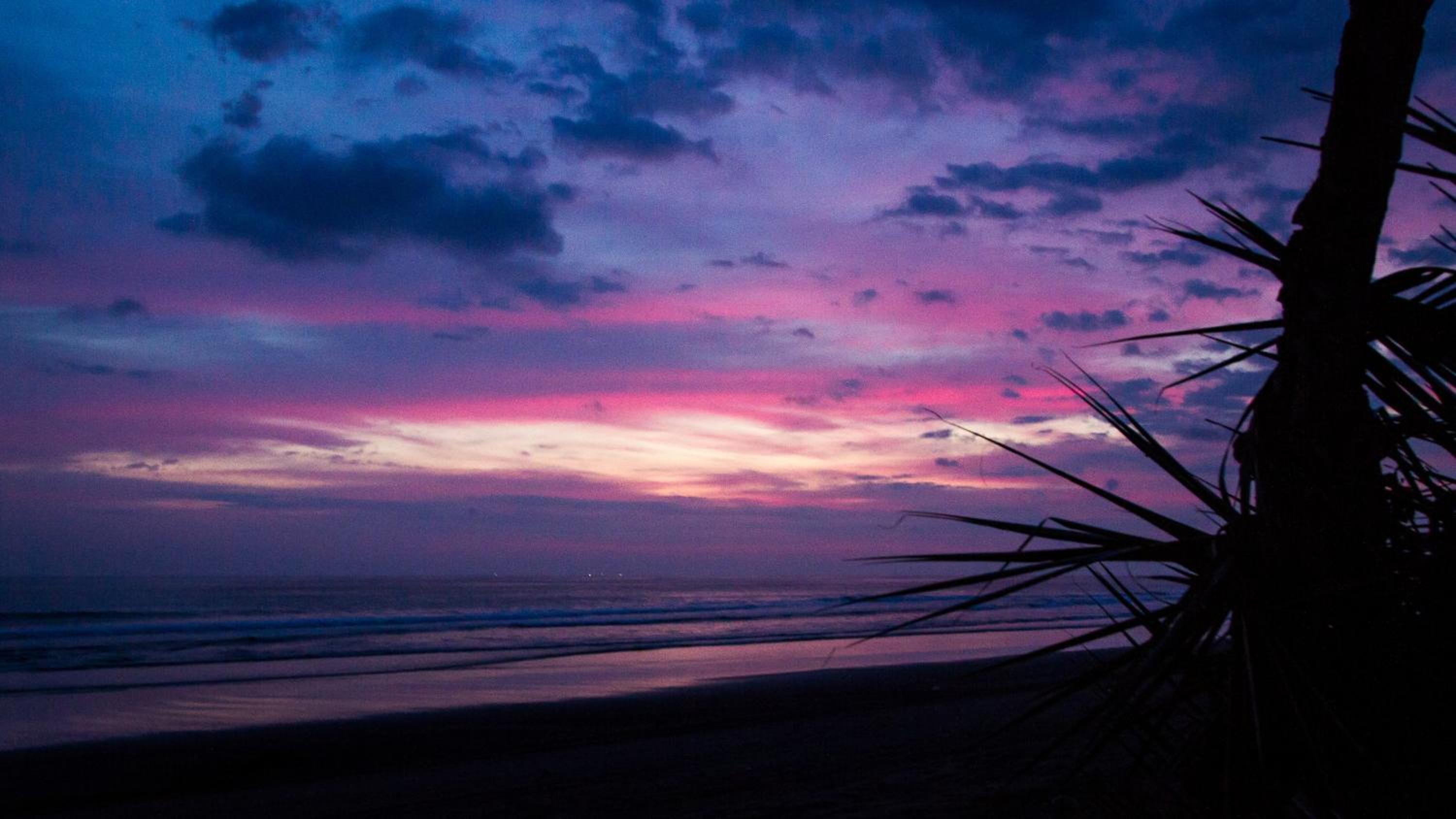 Miguel Surf Camp