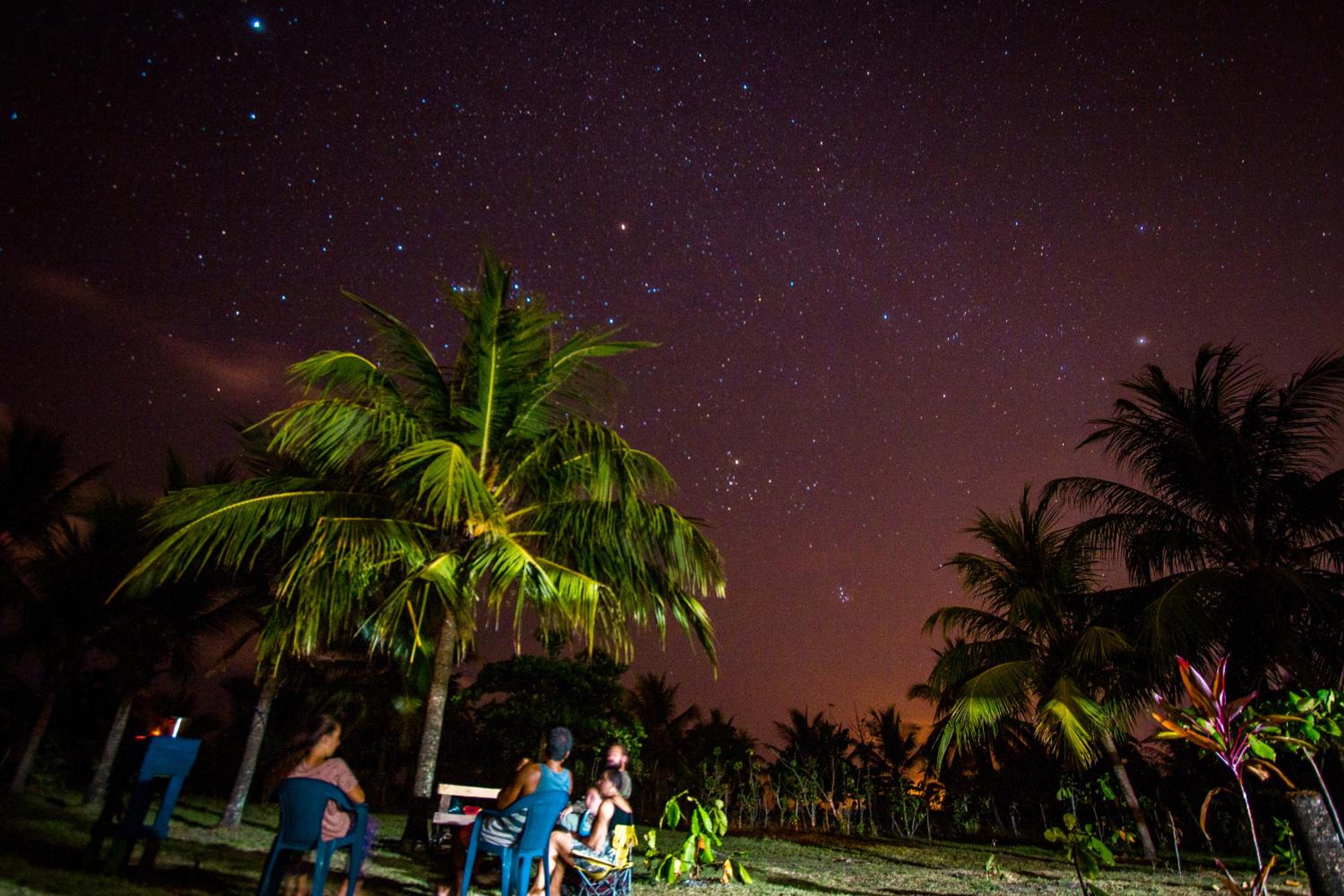 Miguel Surf Camp
