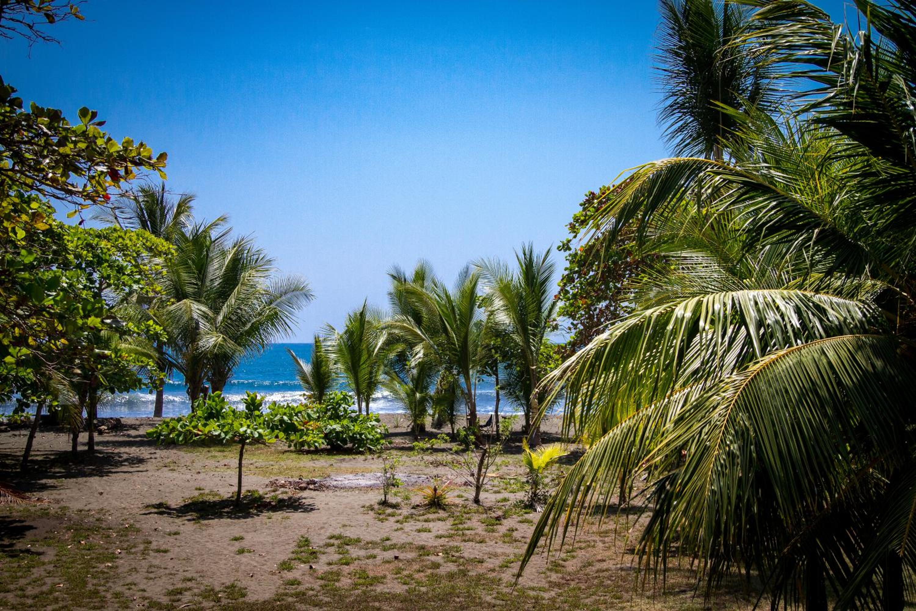 Miguel Surf Camp