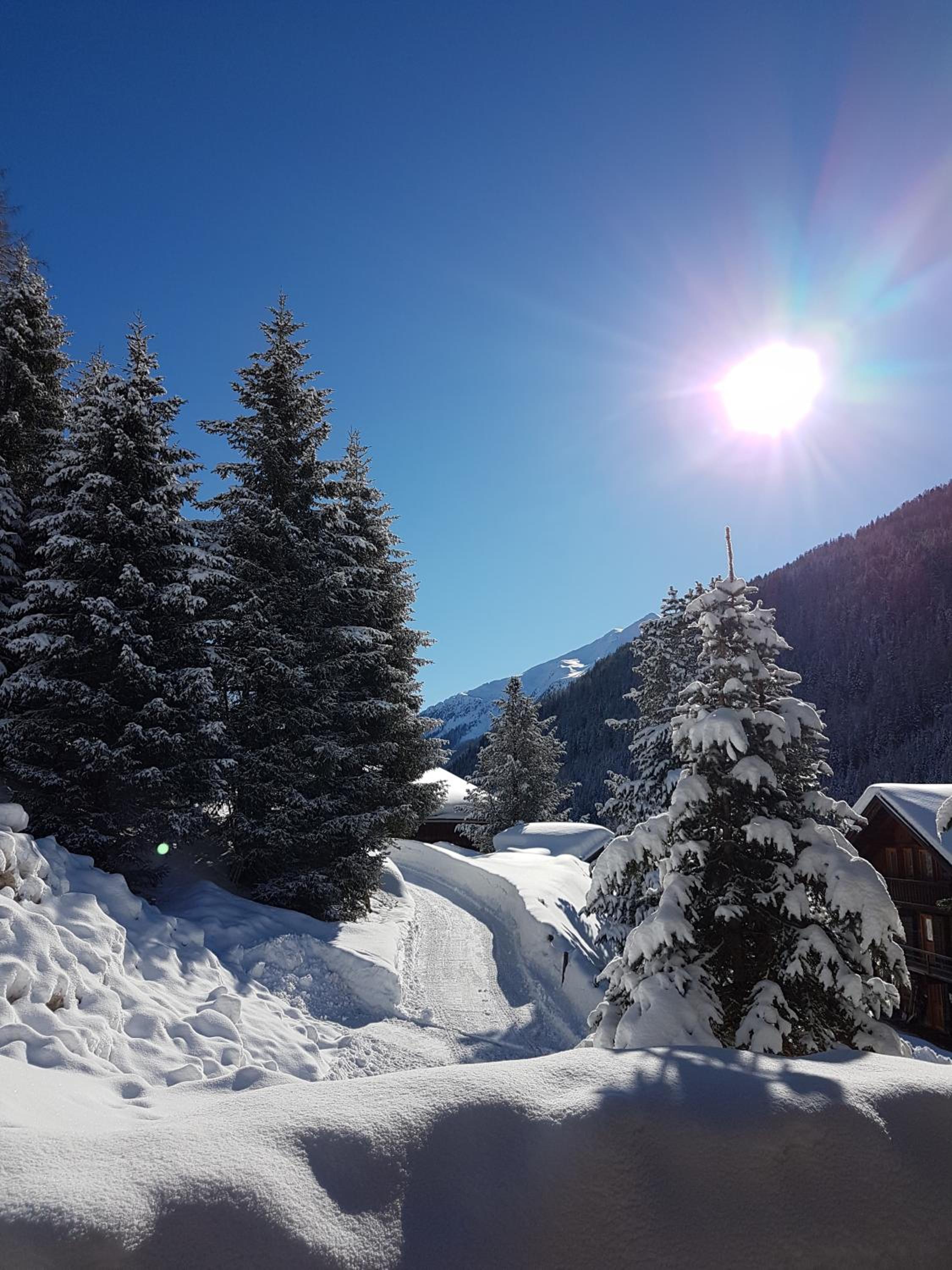 Pension Fürhapter mit Bio- Bauernhof