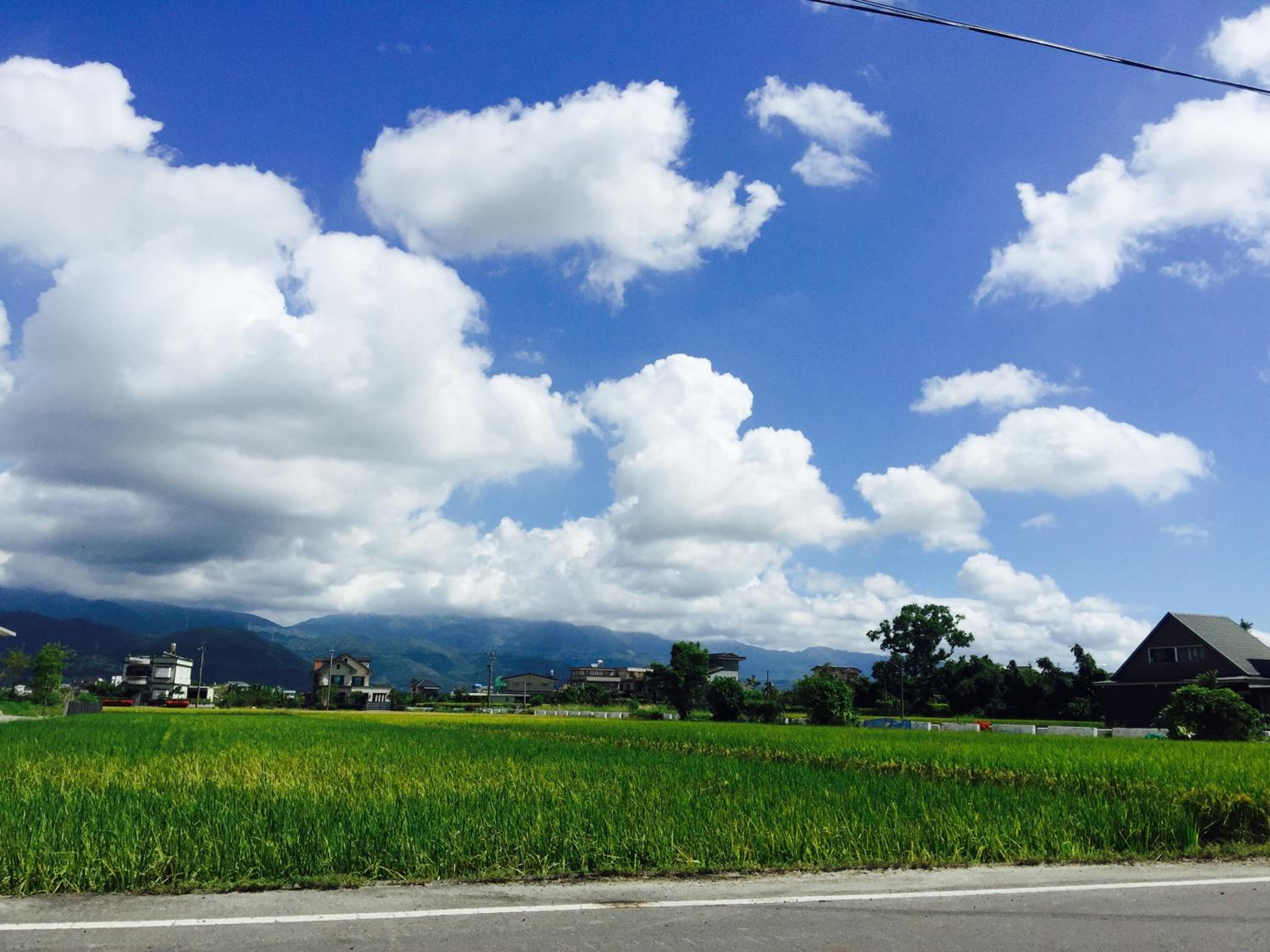 Chun Feng Cao Tang Homestay view 4