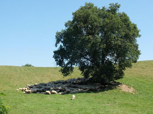 Agriturismo Lago di Mezzano