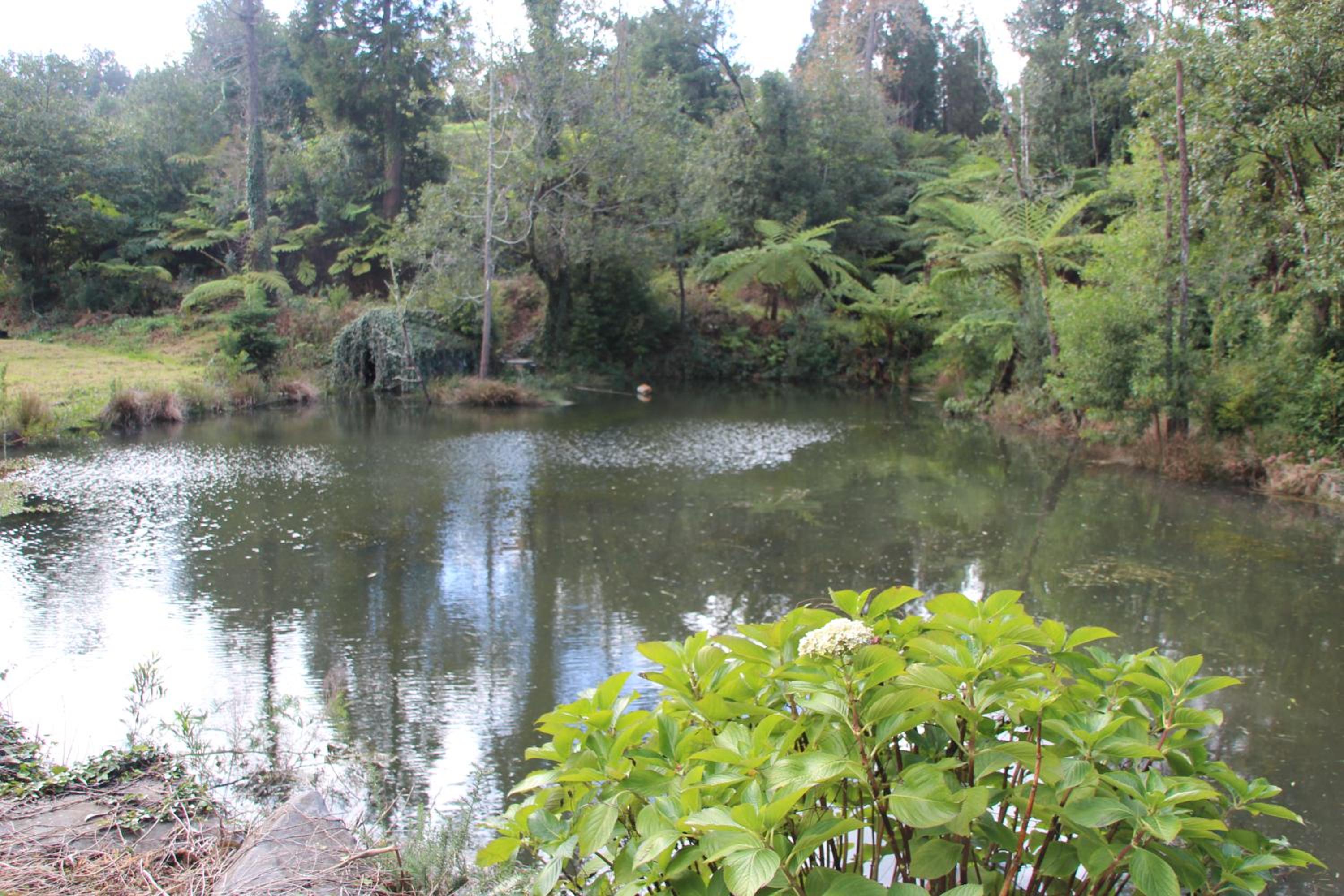 Bio Quinta do Pantano, Agro Turismo