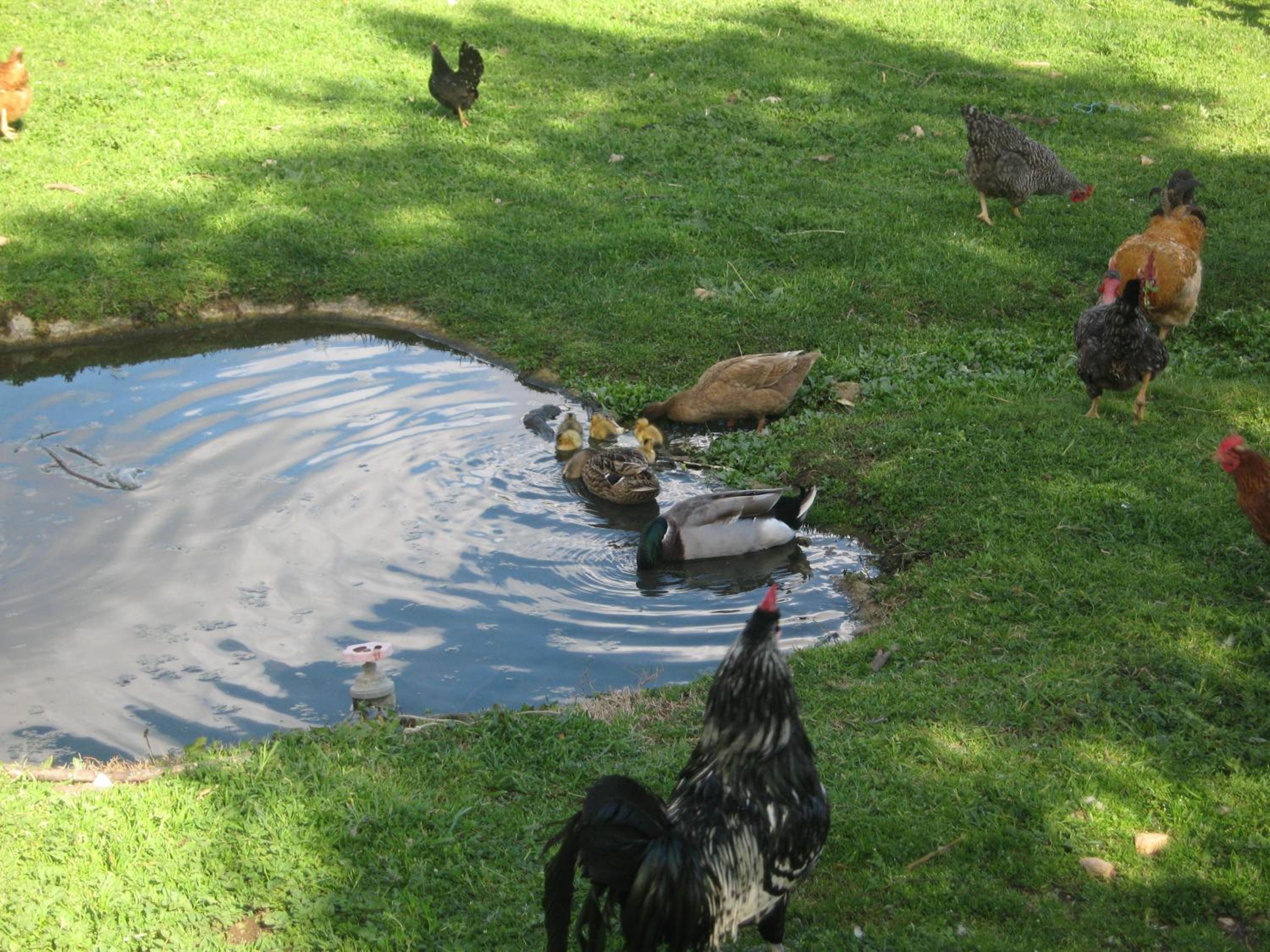 Photo 28