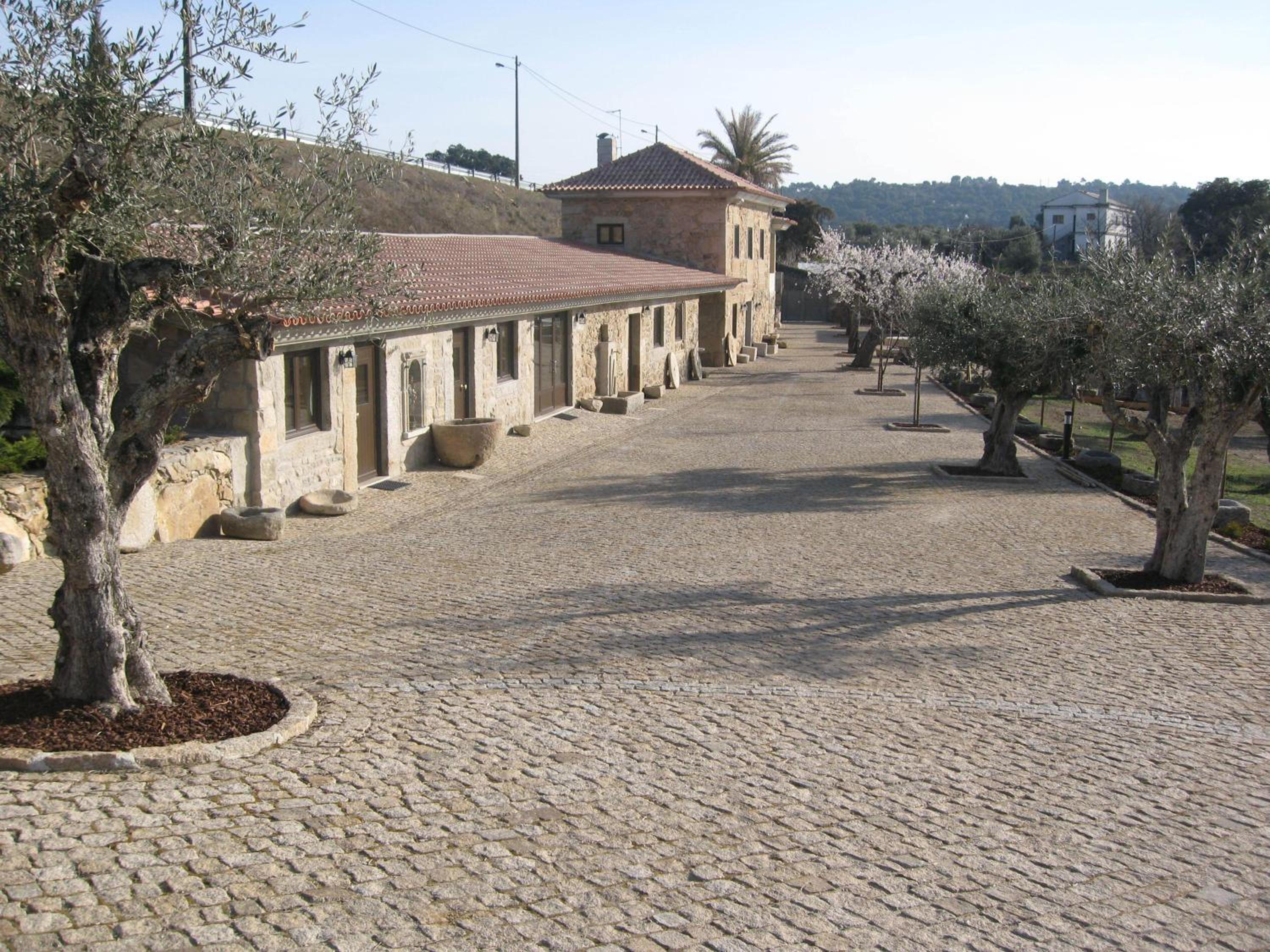 Photo 47