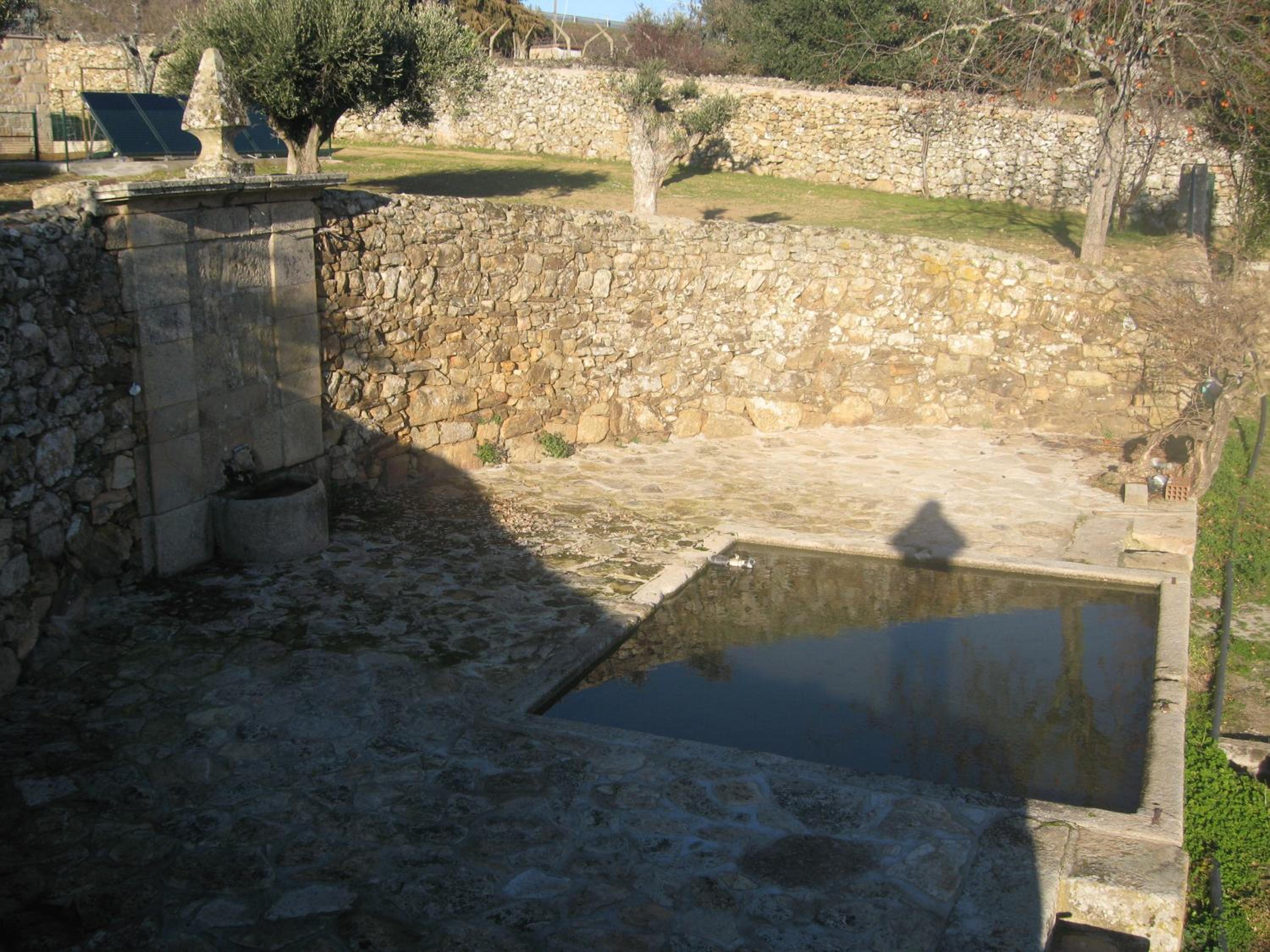 Photo 35