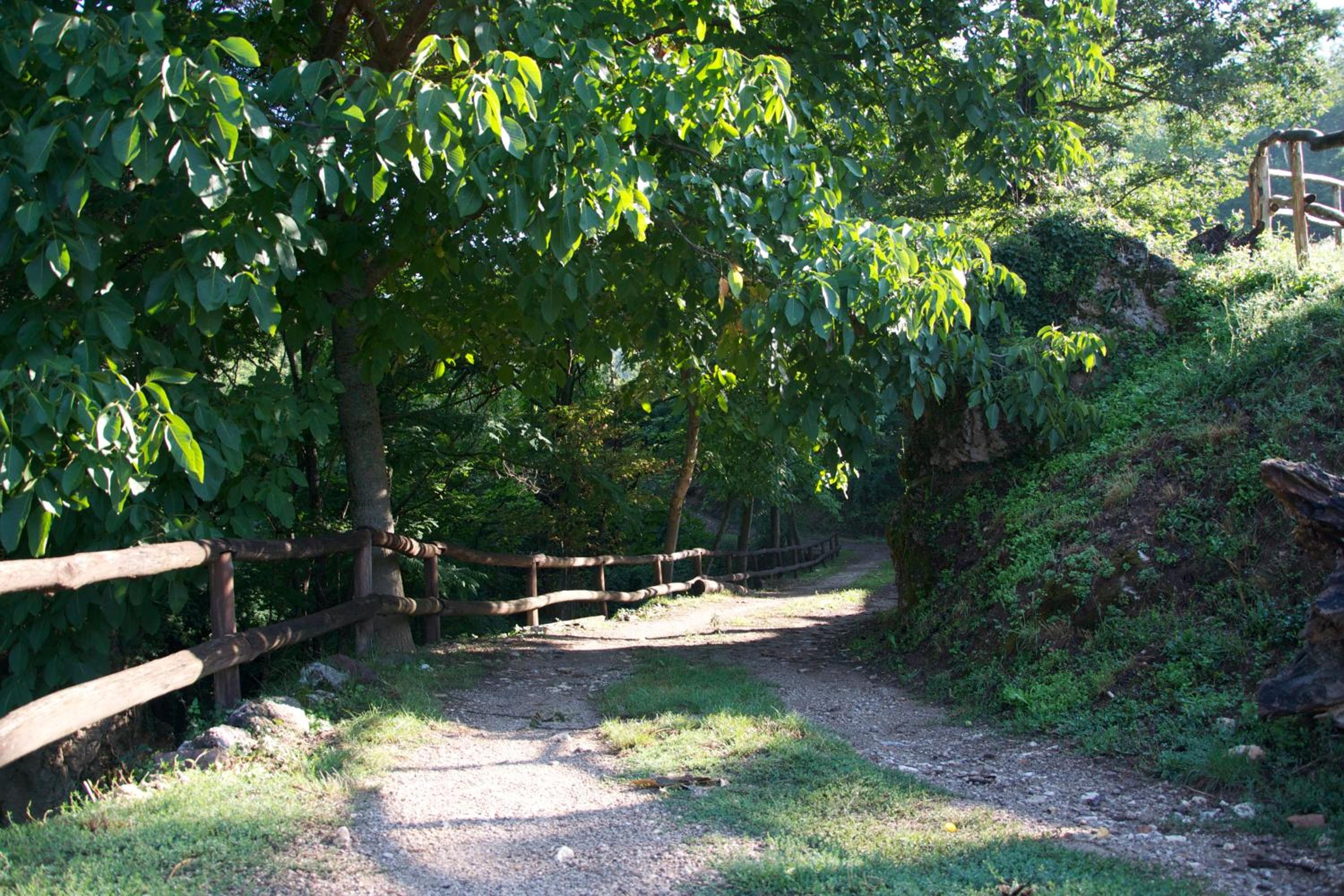 Fattoria Alvaneta