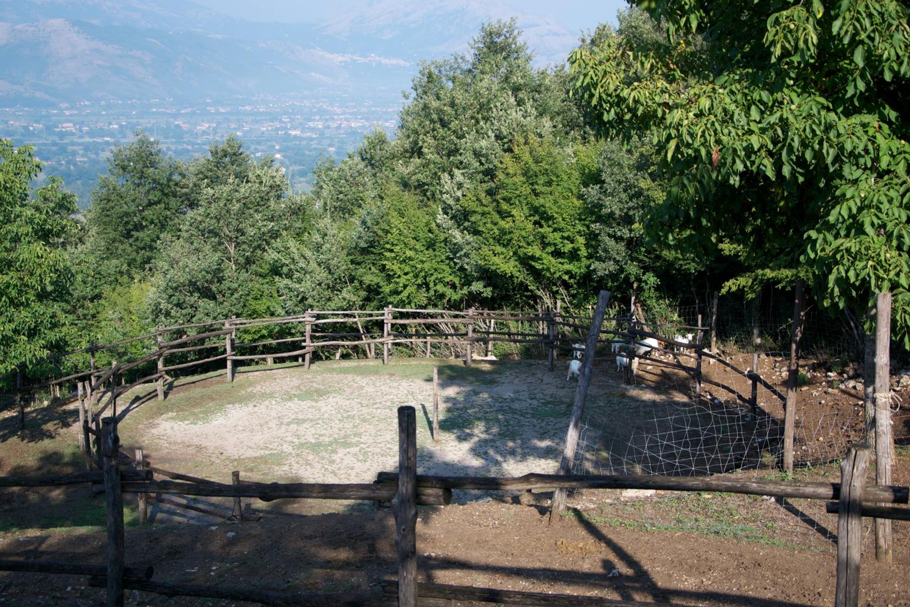 Fattoria Alvaneta