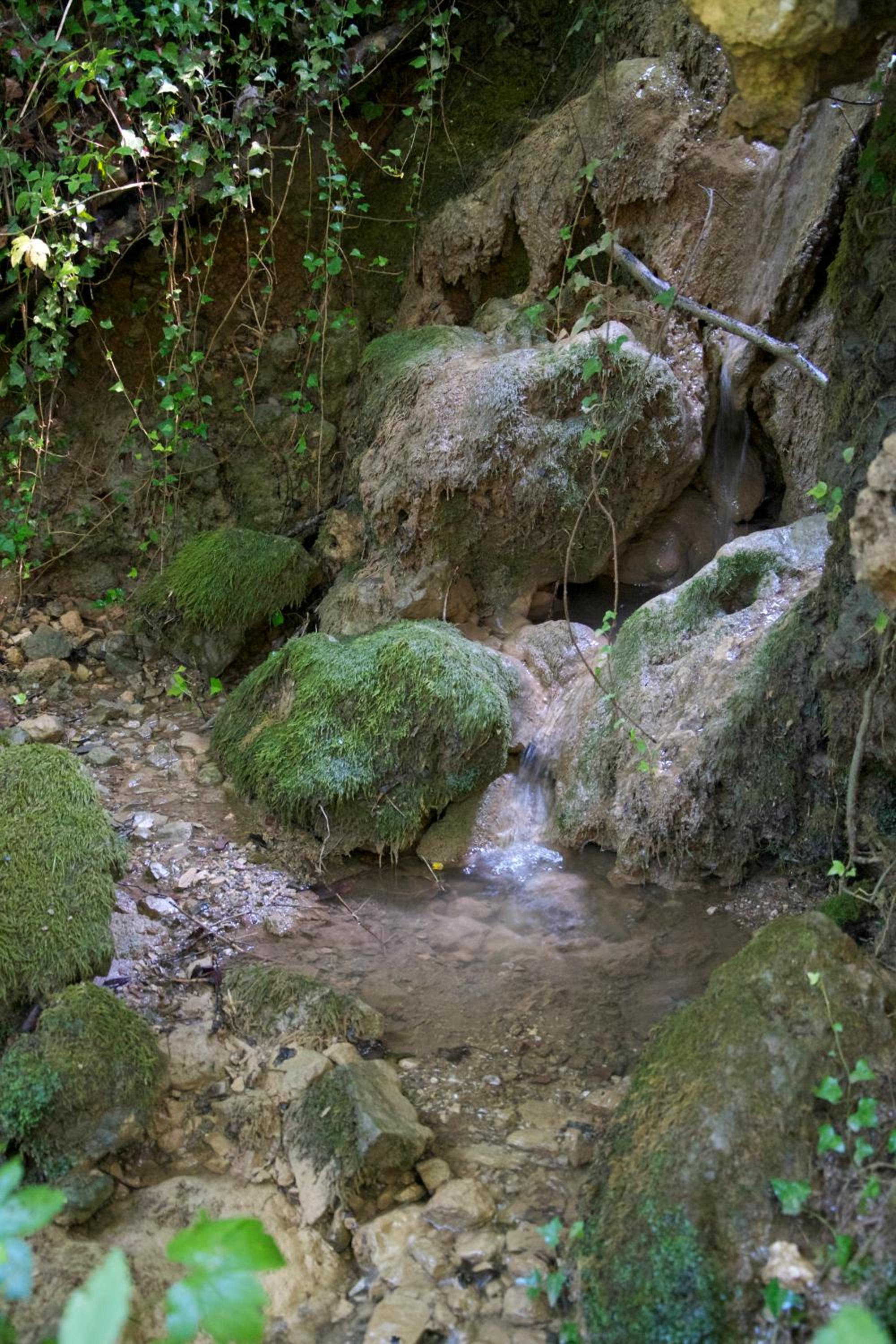 Fattoria Alvaneta