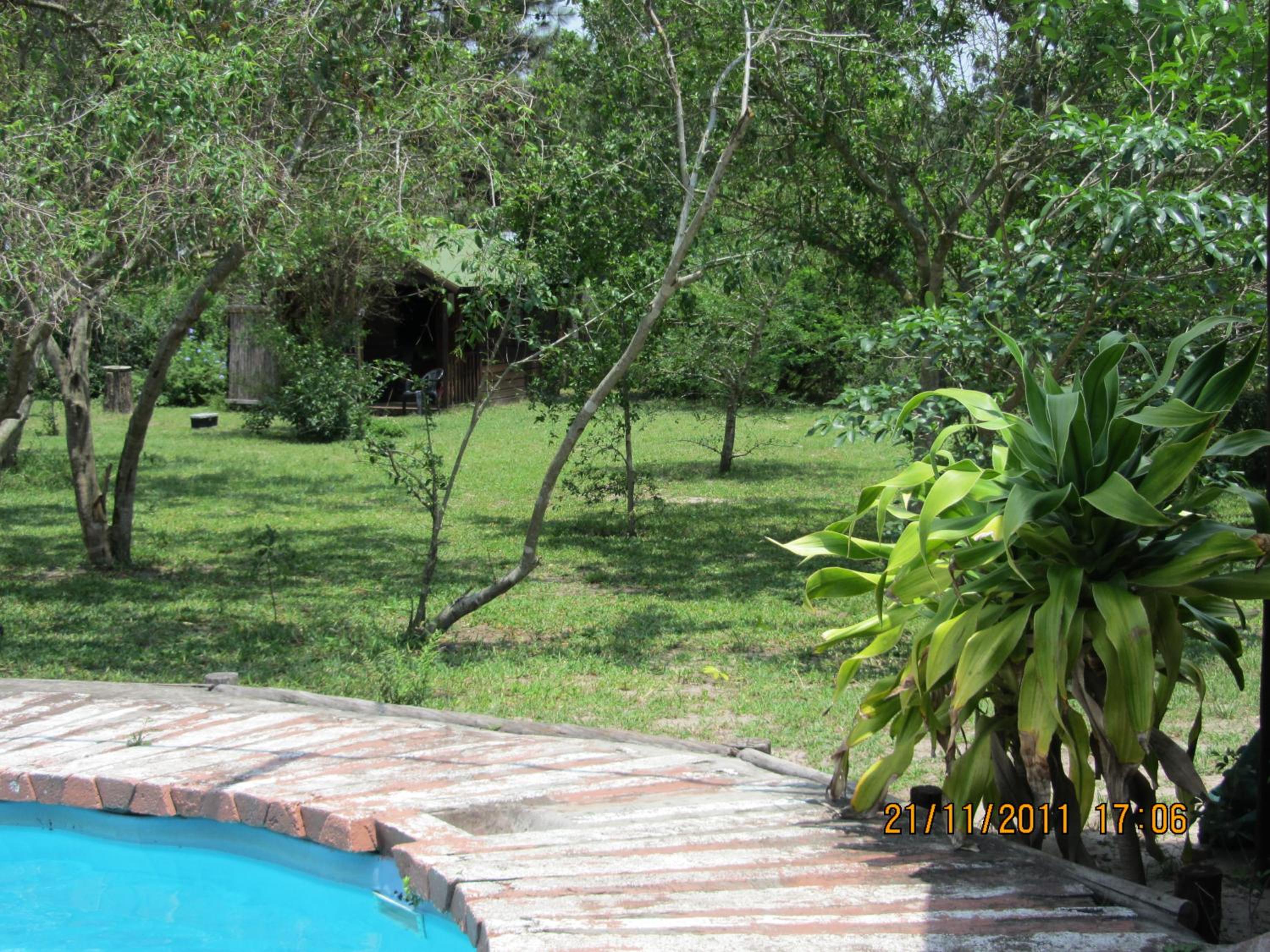 Photo 42