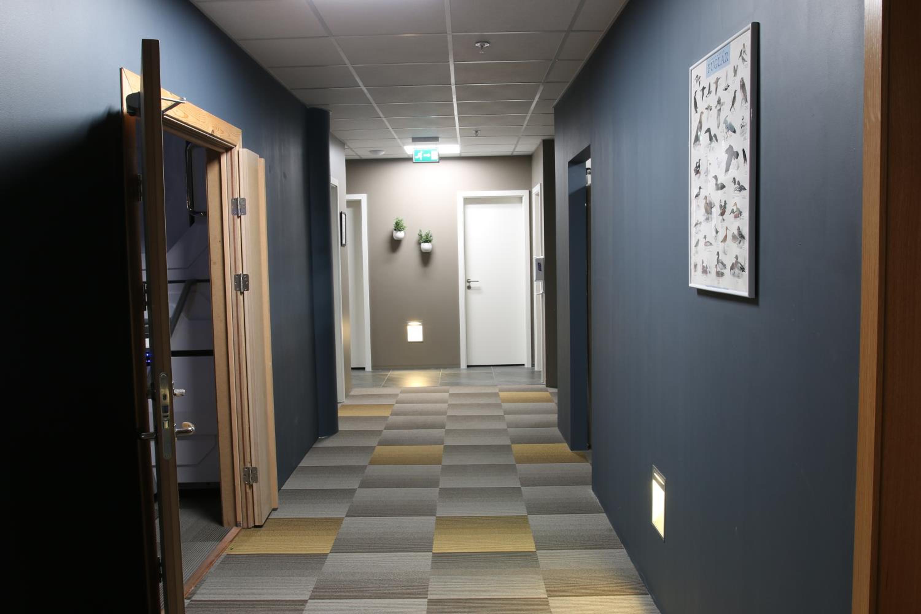 Hafnarstræti Hostel