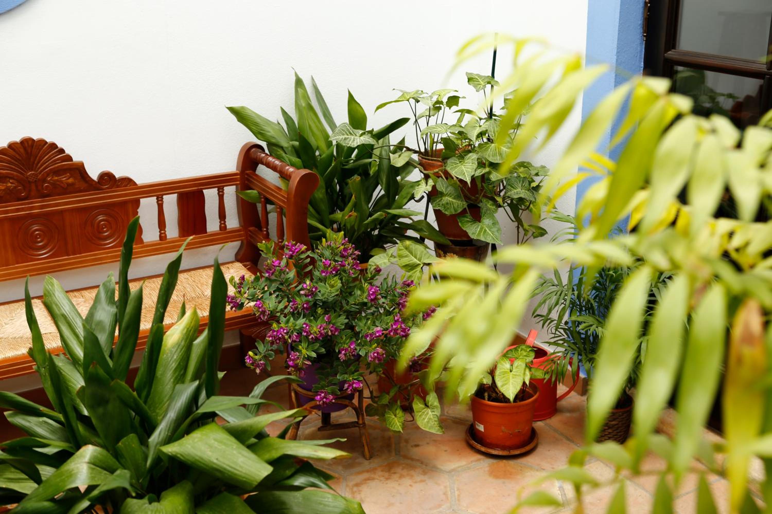 La Casa del Río