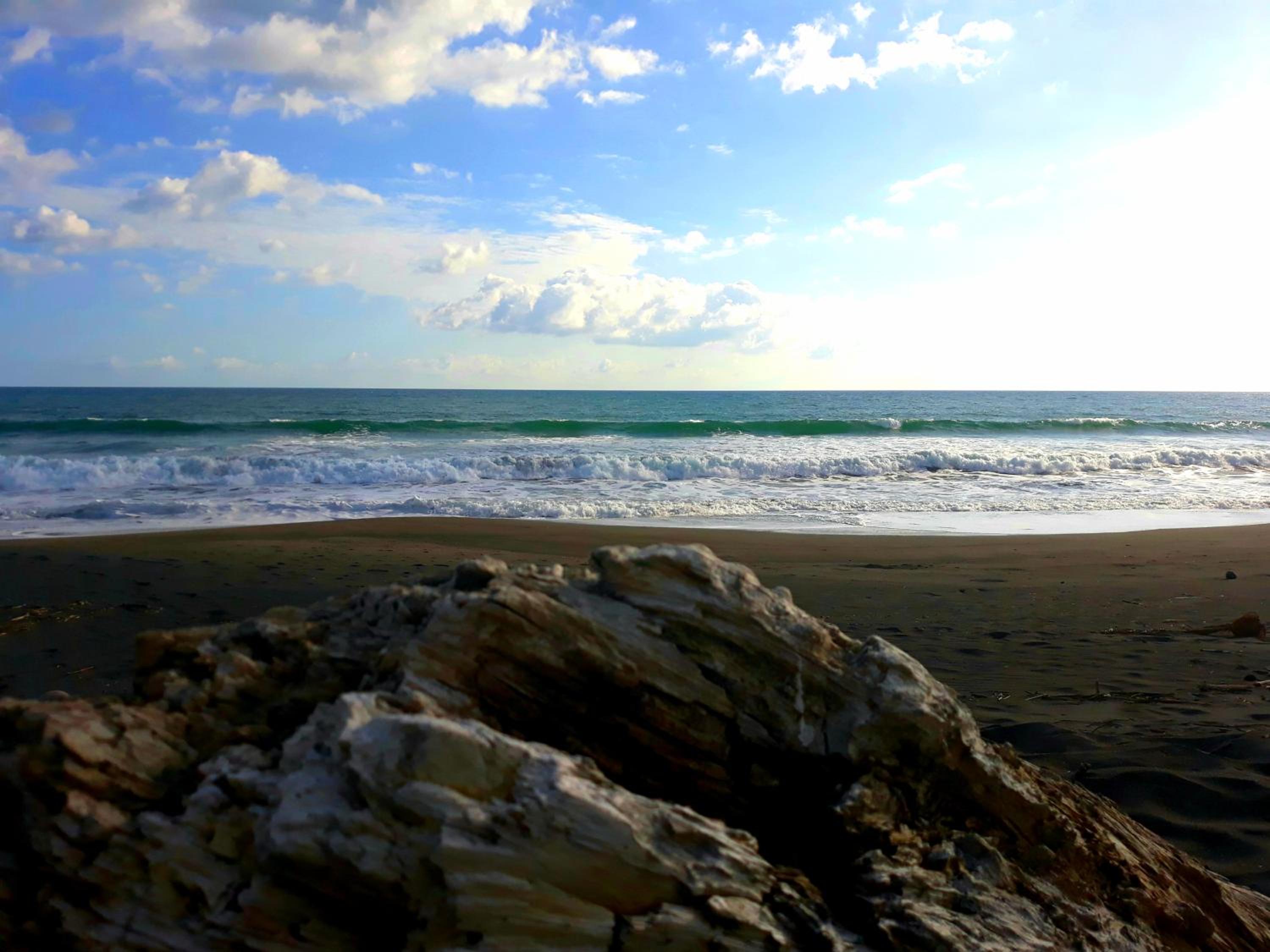 Las Olas Beach Resort view 3