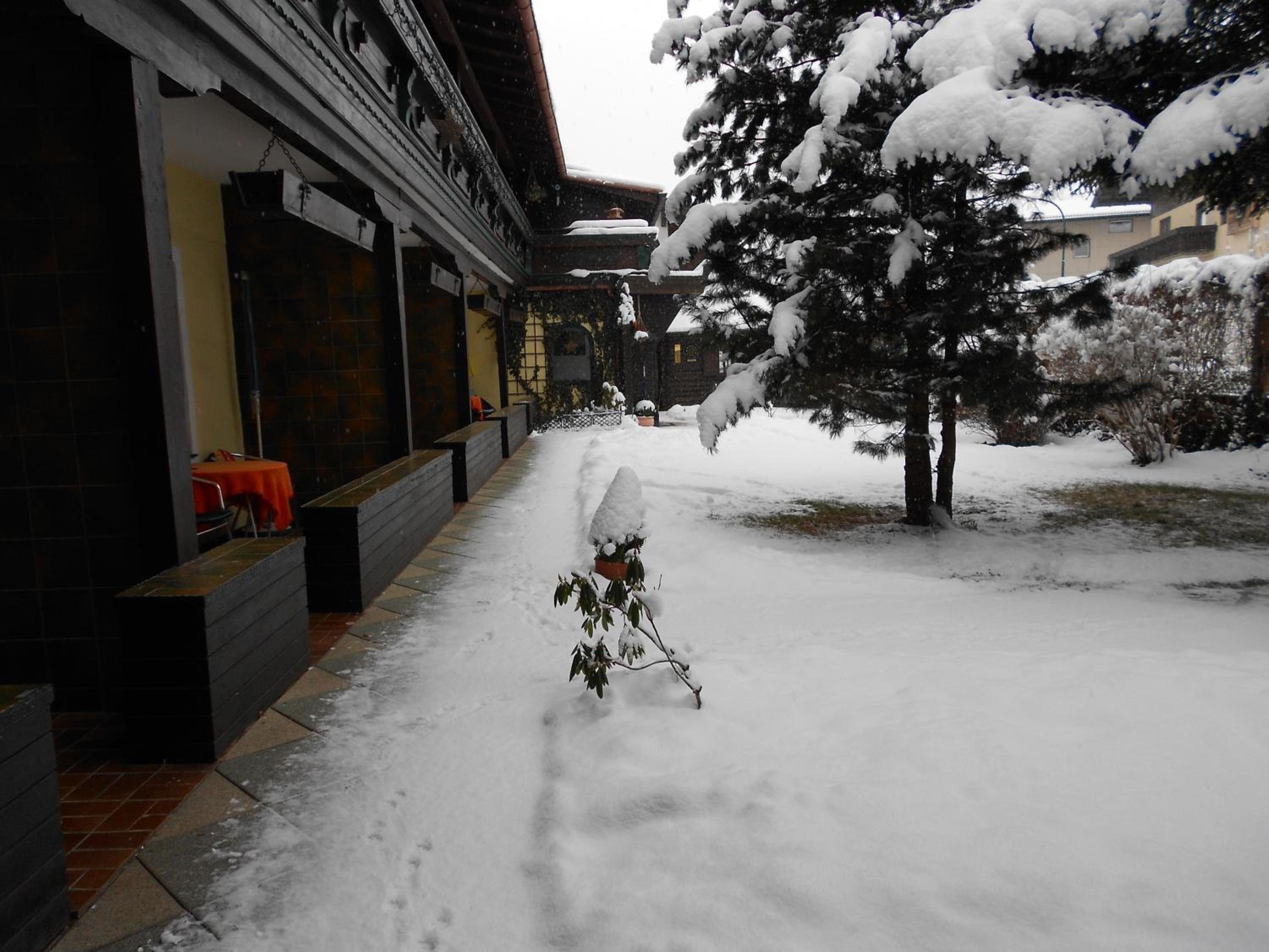 Alpen-Appartementhof