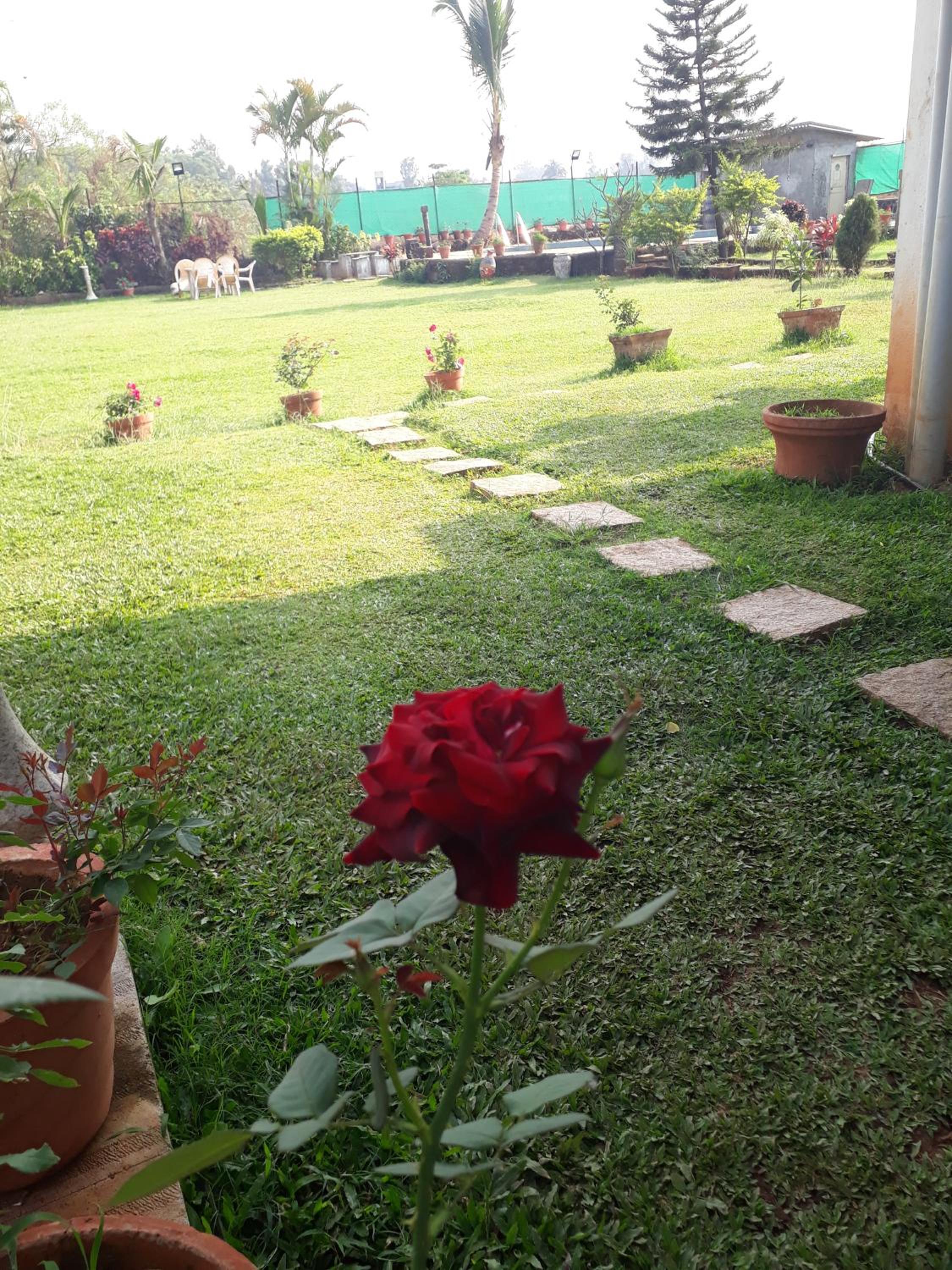 Photo 19