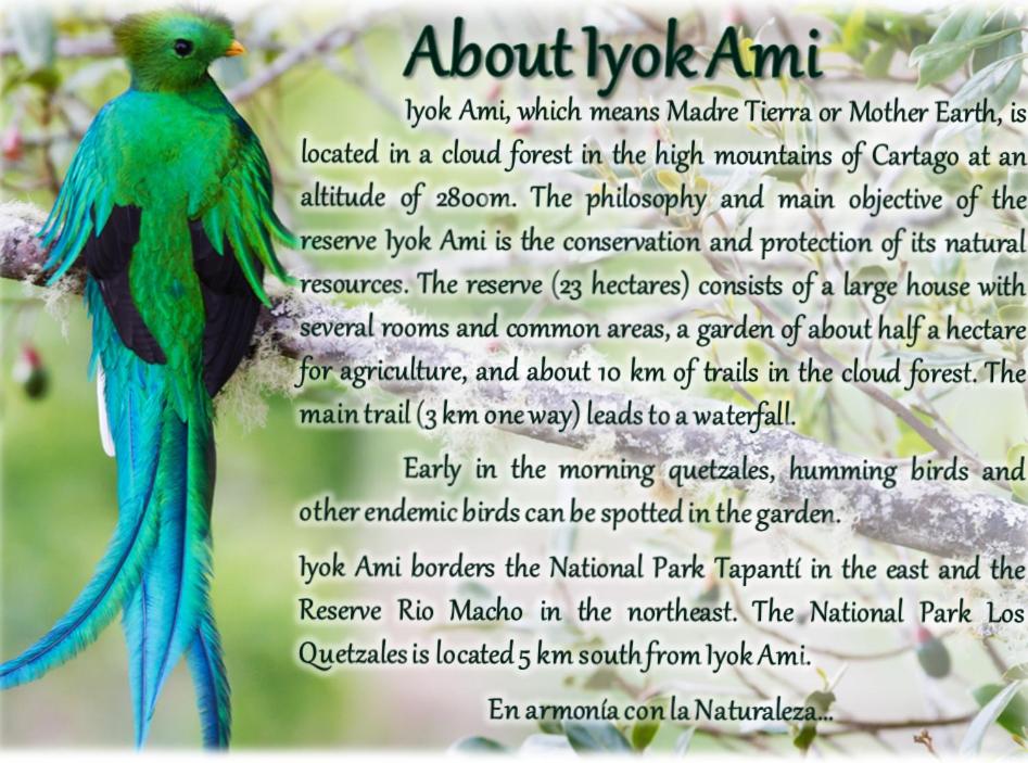 Iyok Ami (Madre Tierra)