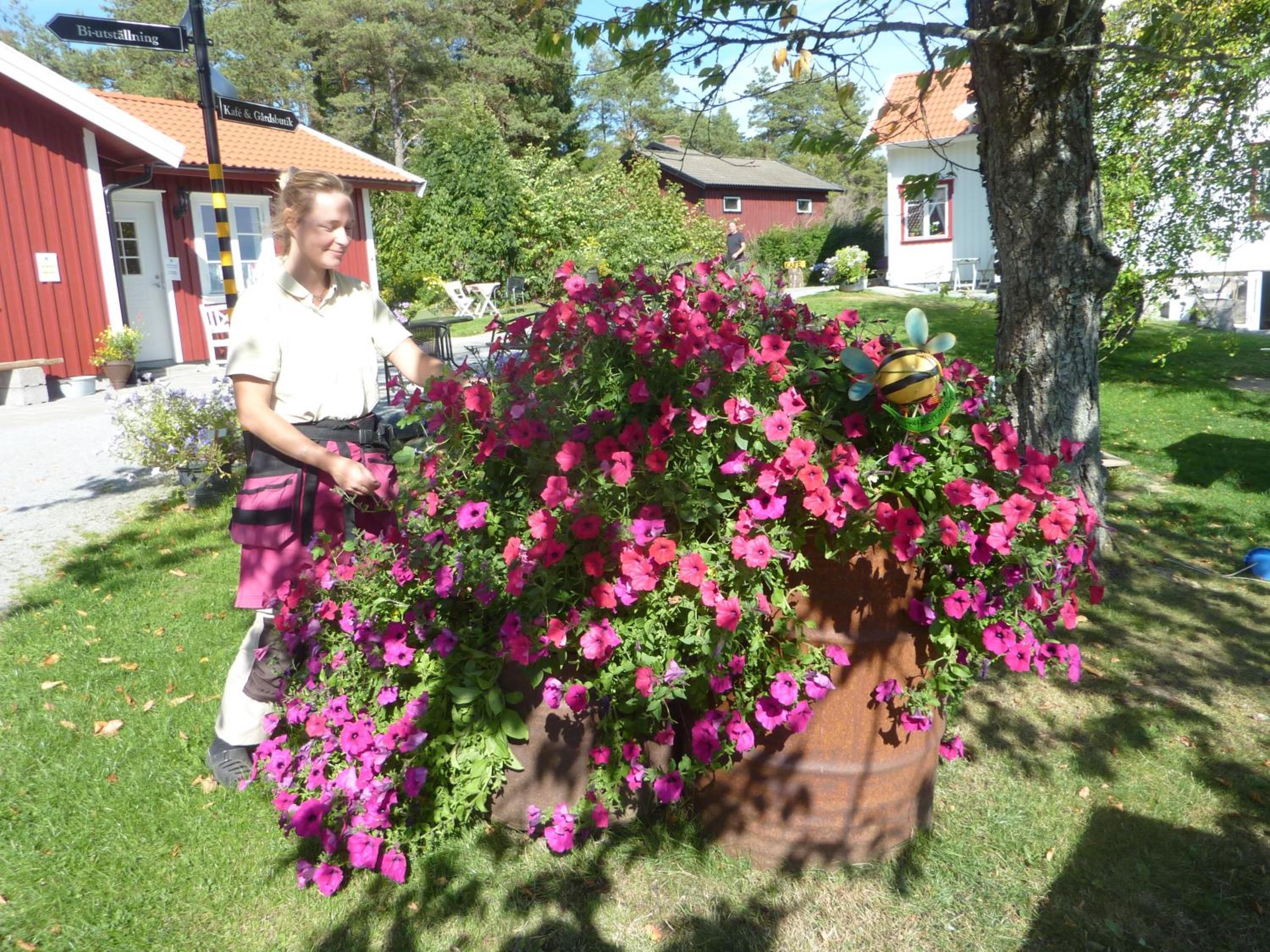 Photo 8