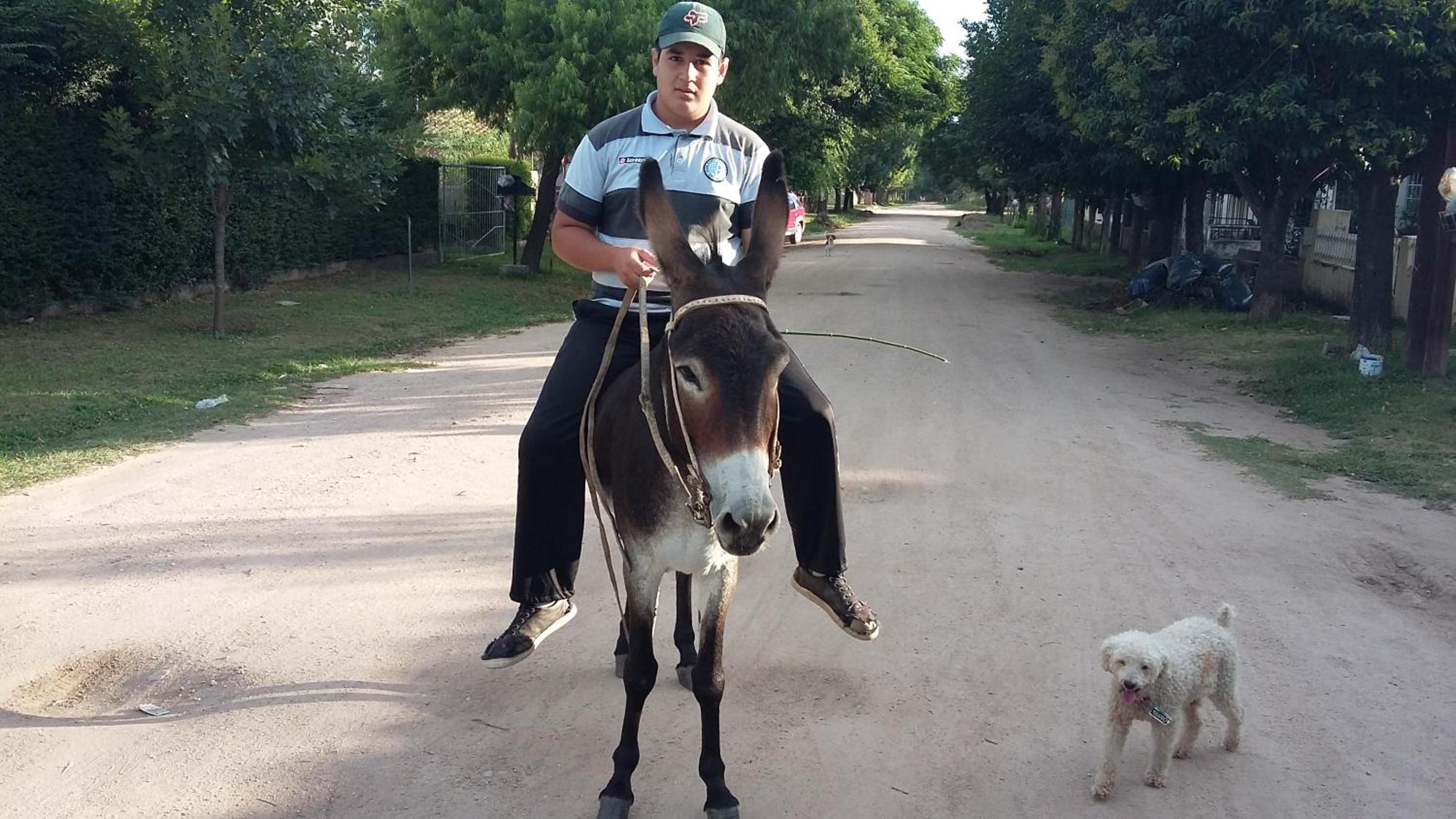 Cabañas El Nonno