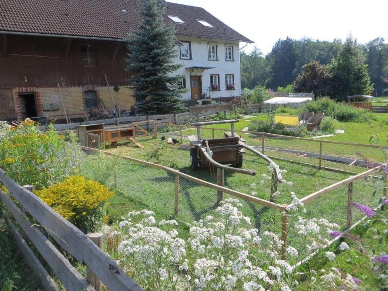 Photo 17