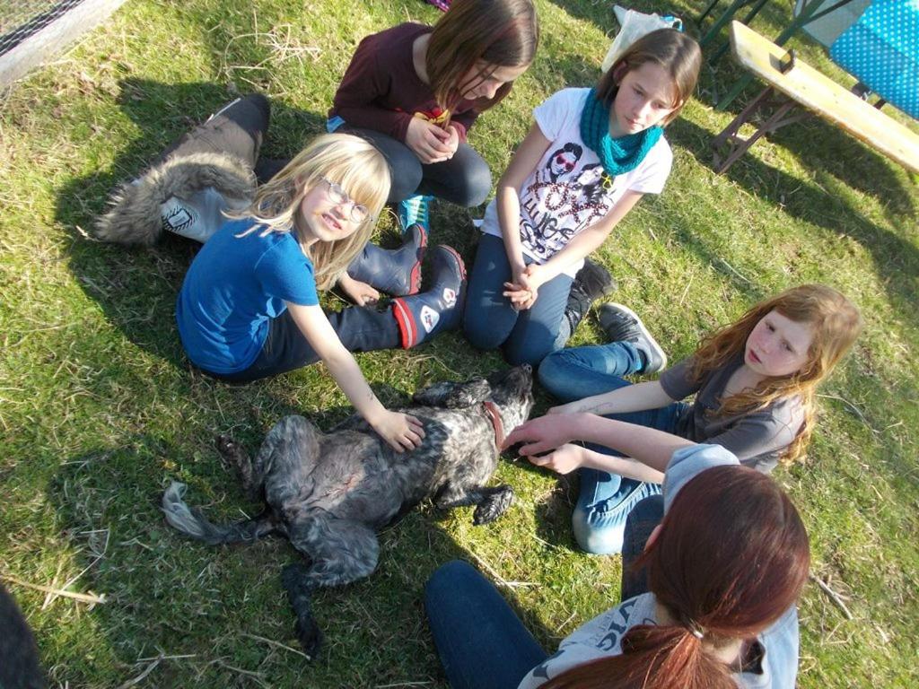 Photo 14