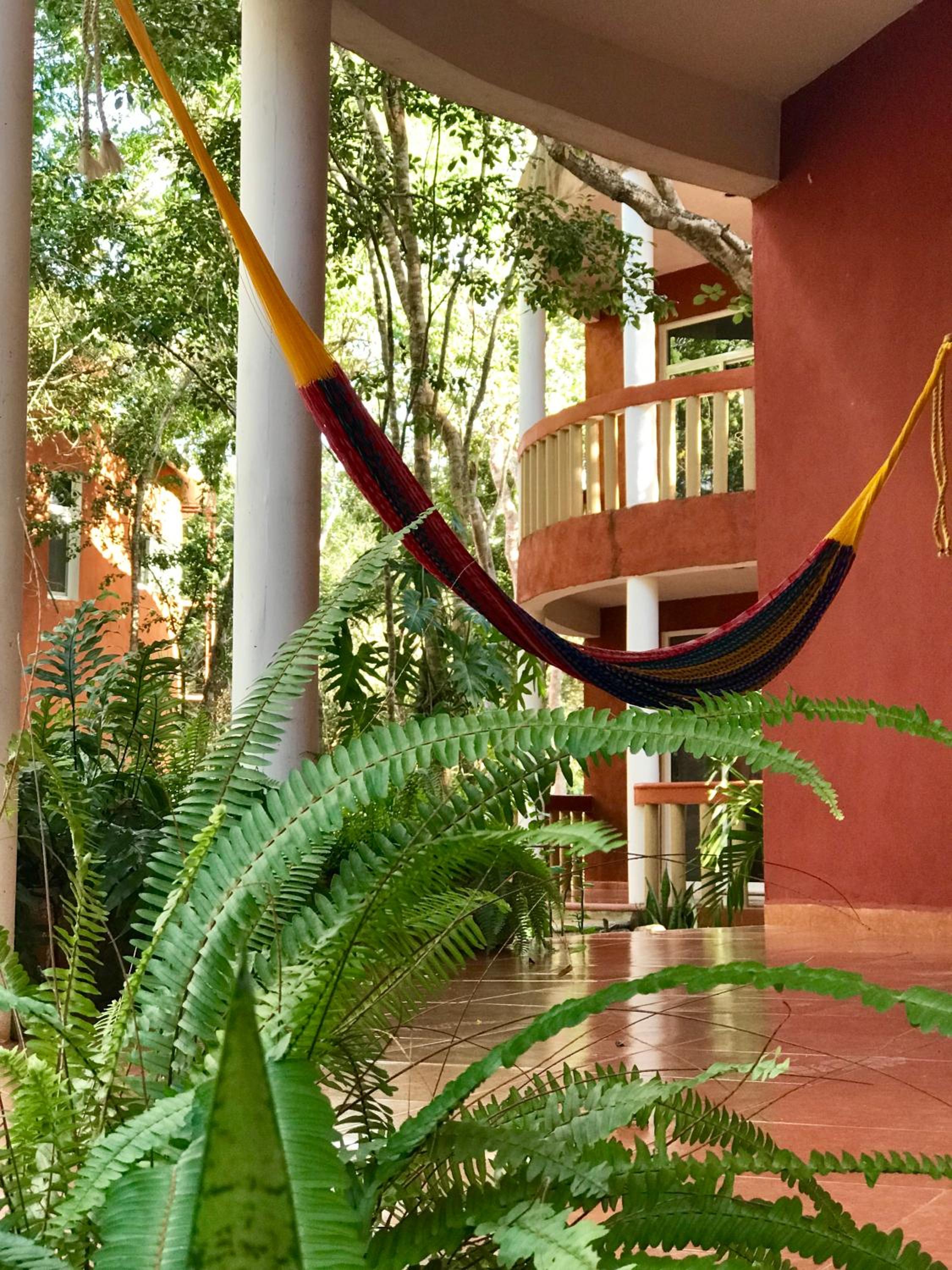 Eco-Hotel Nueva Altia