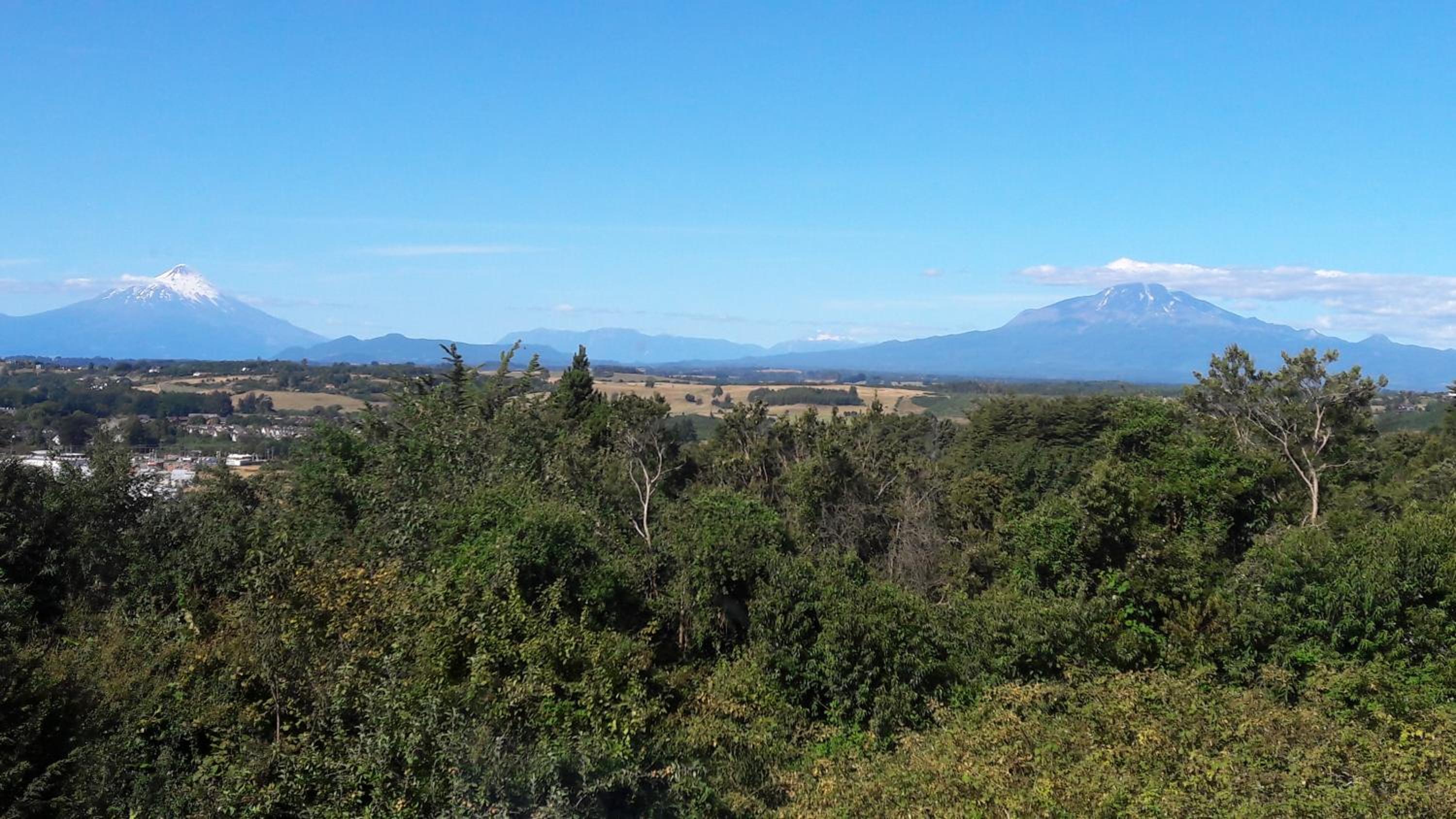 Cabañas Krause Lodge