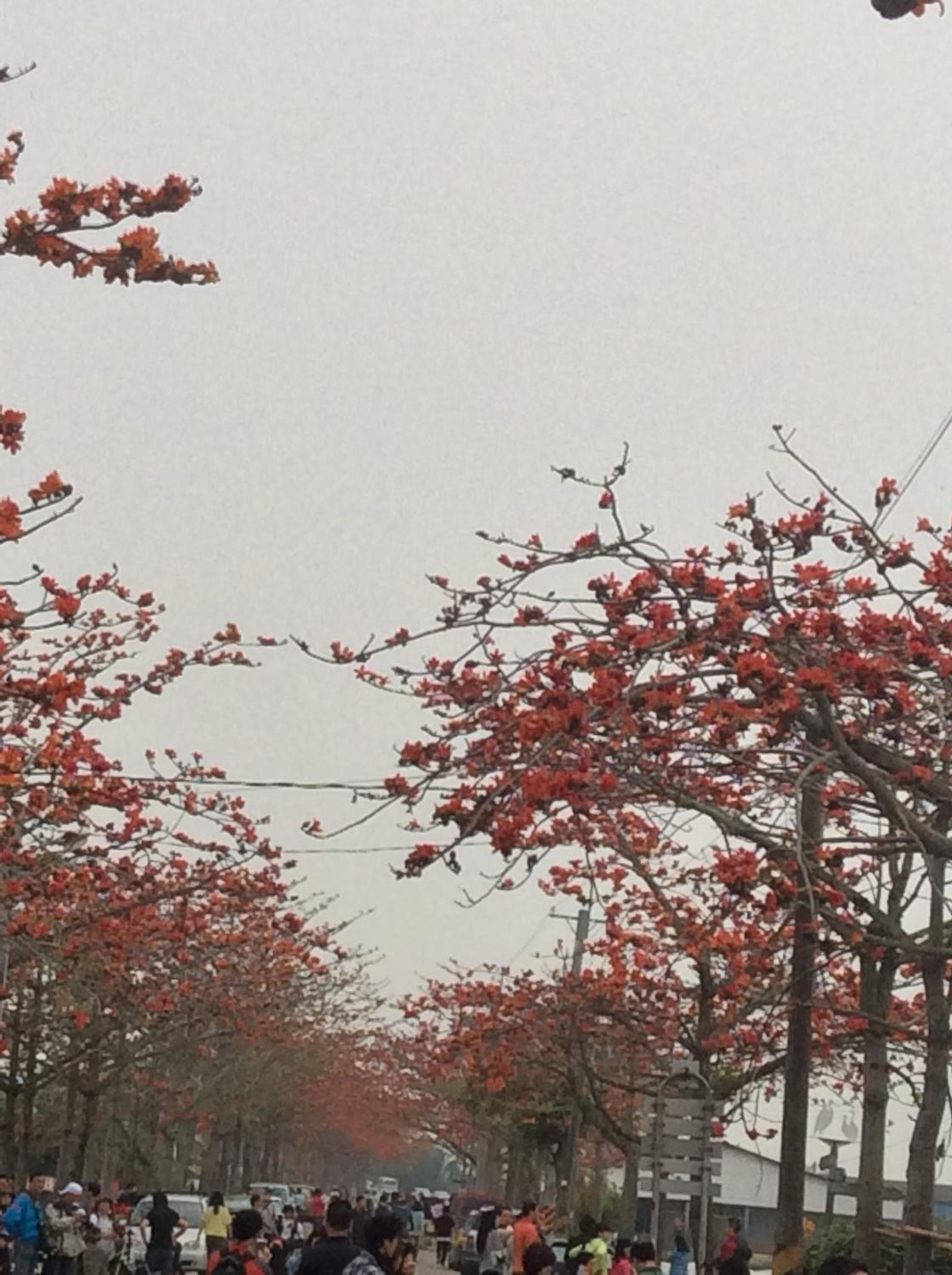 84 In Tainan