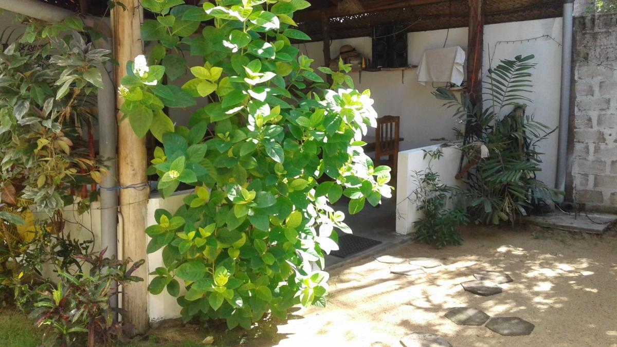 outdoor BBQ area