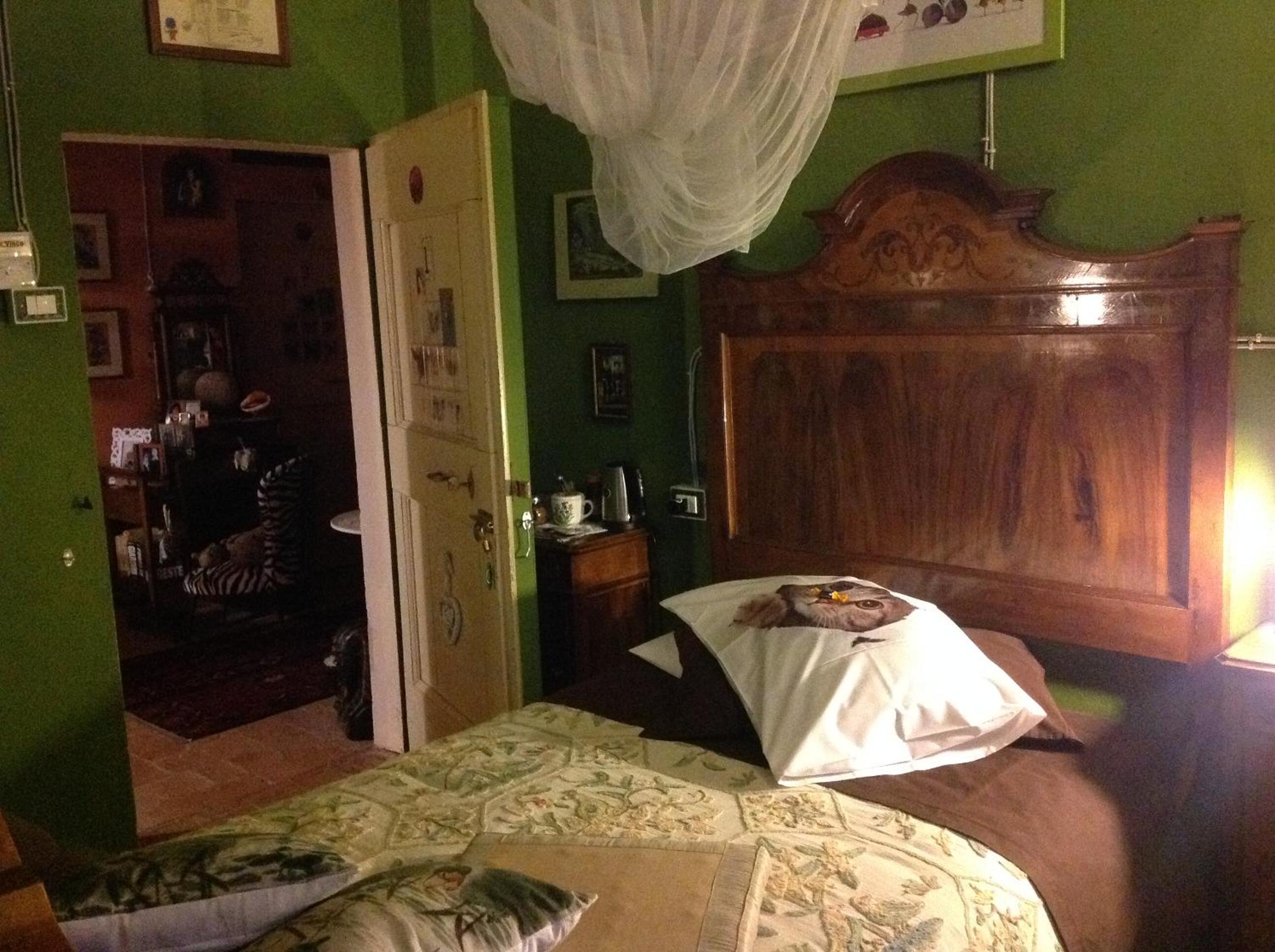Photo 7