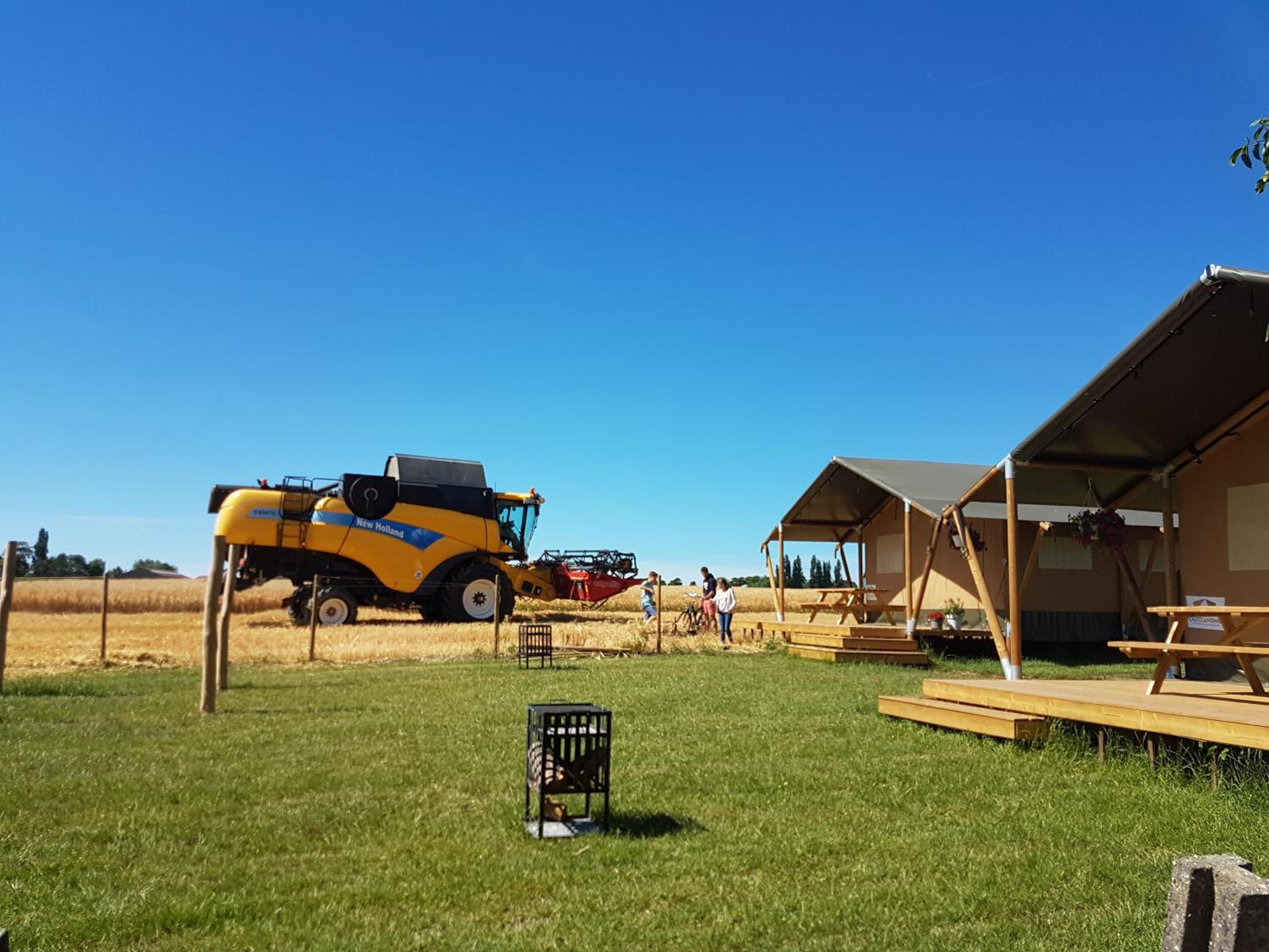 Glamping op het Zeugekot view 5