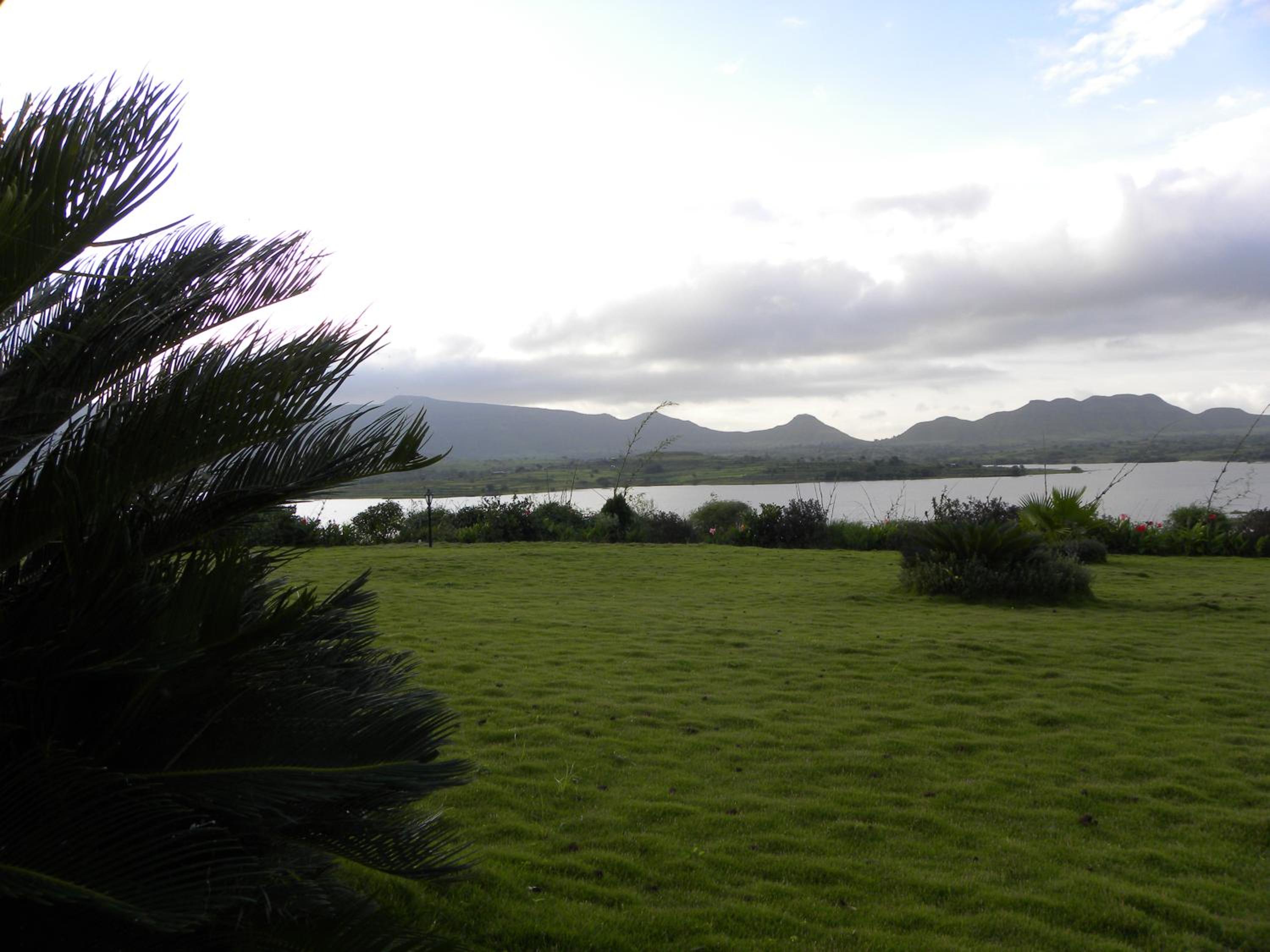 Photo 6