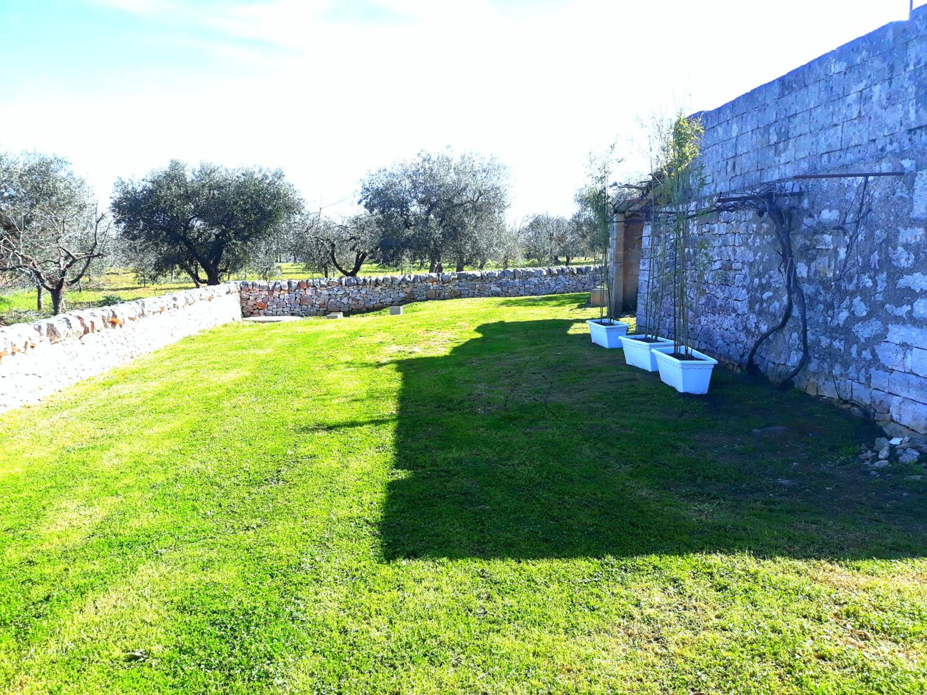 Photo 45