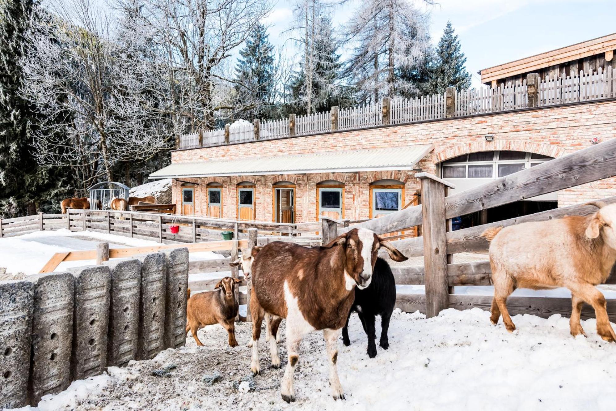 Peakini Farmhaus