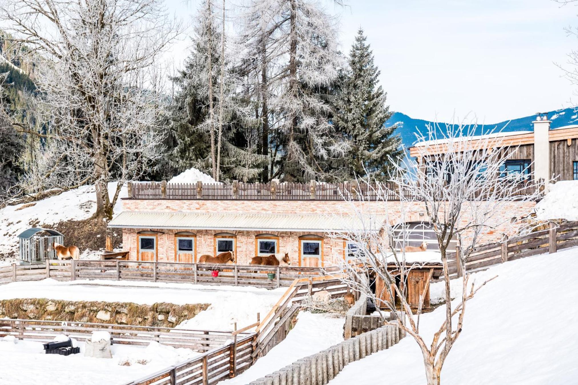 Peakini Farmhaus