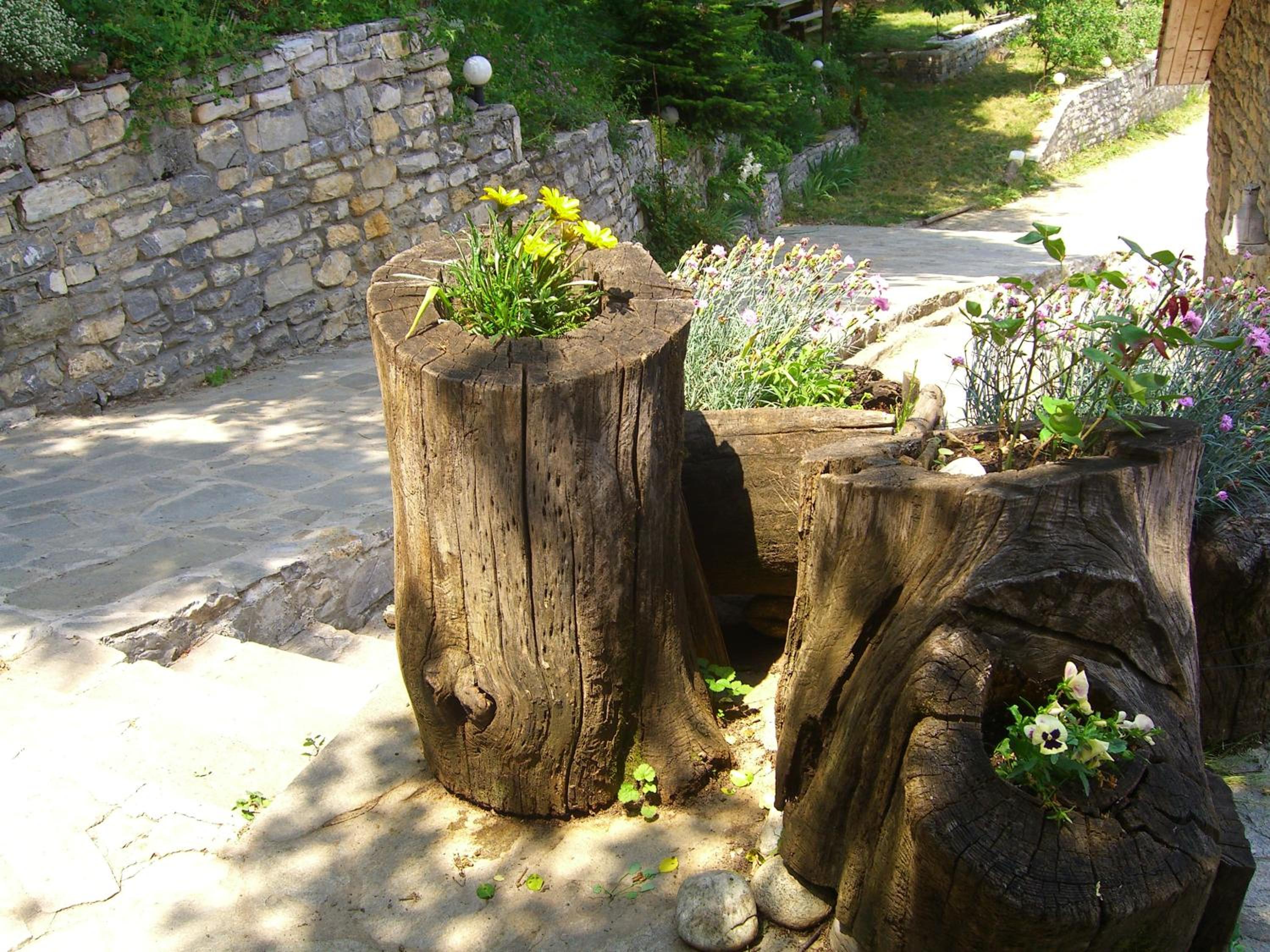 Photo 25