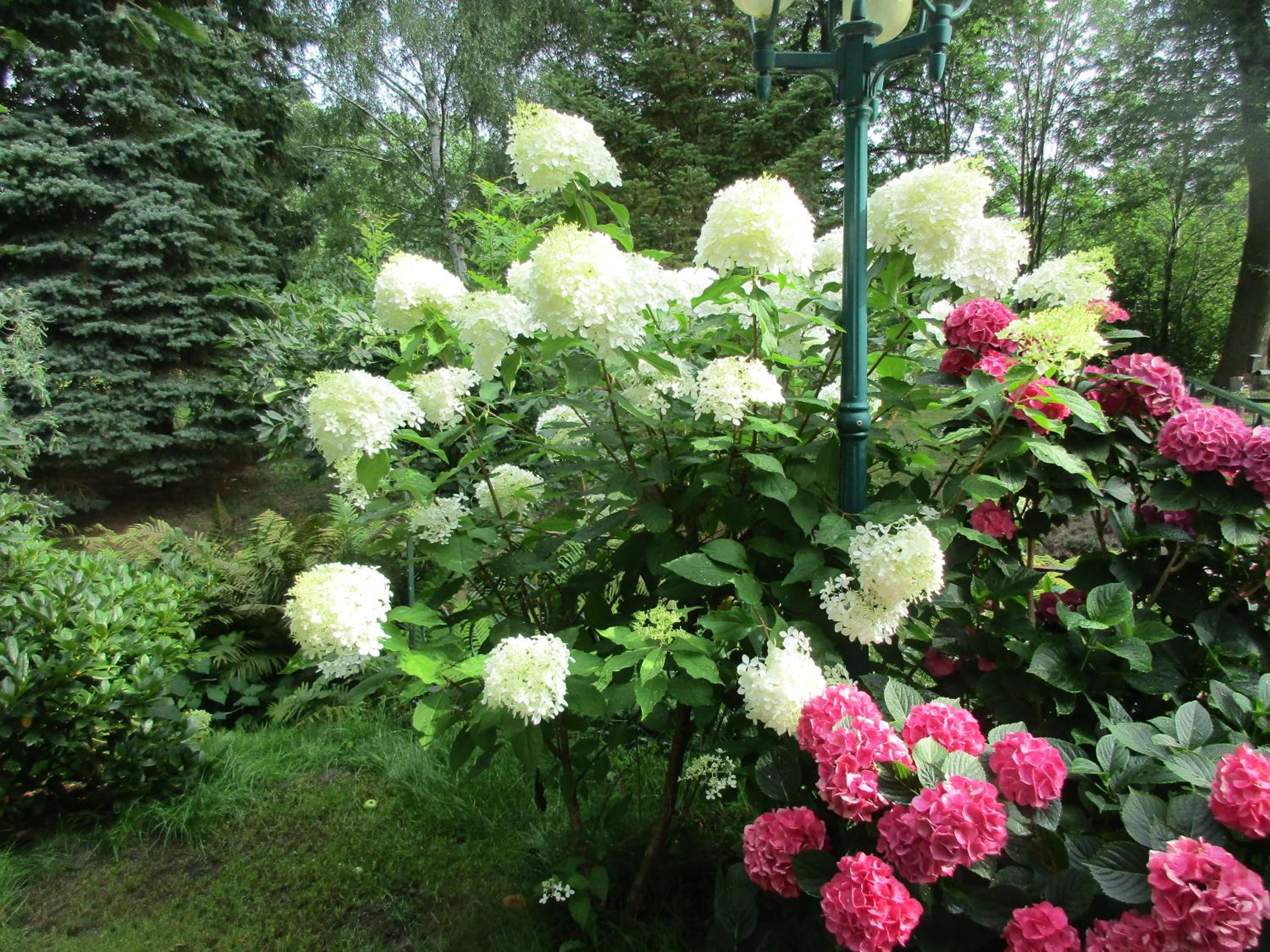Photo 27